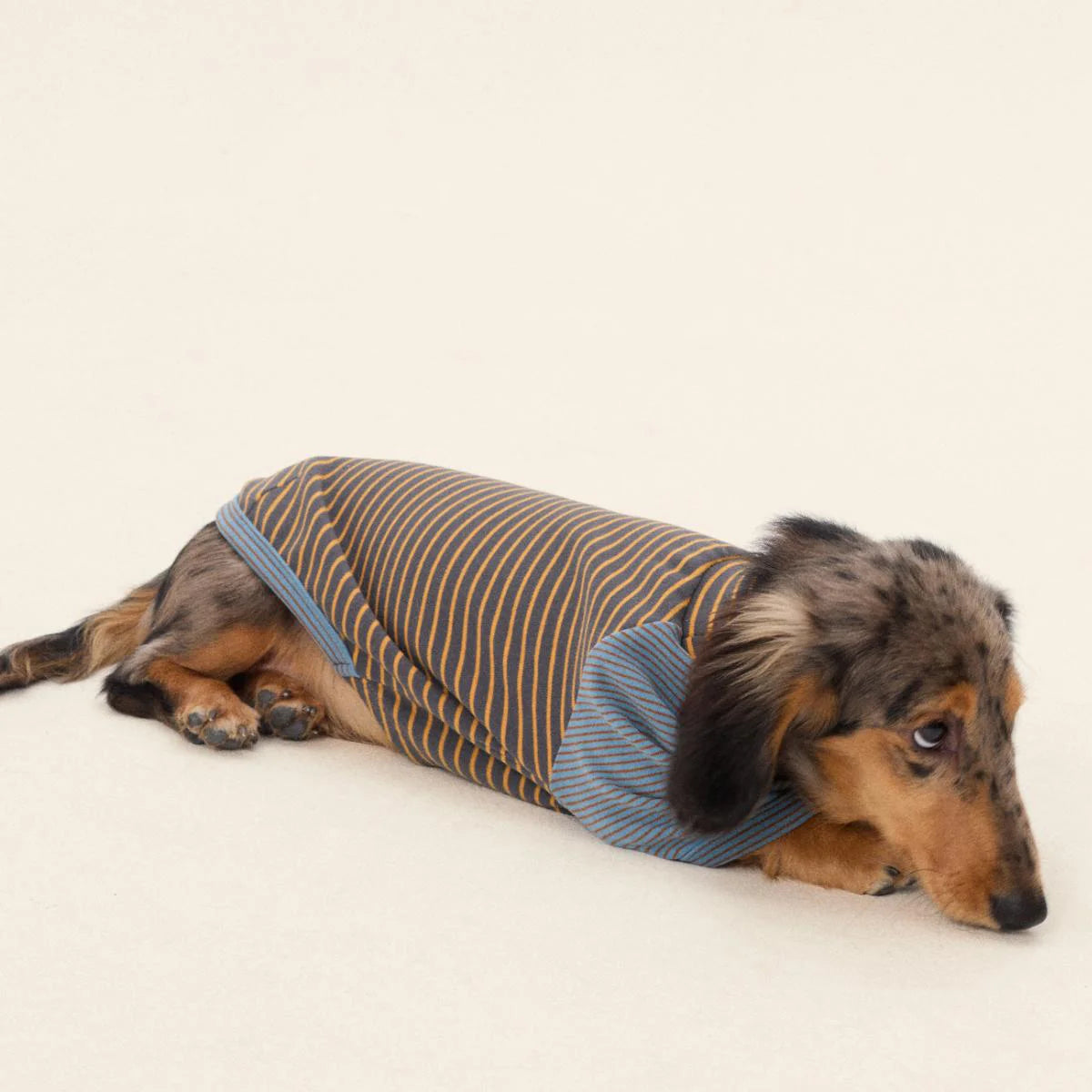 Dralon Striped Bottoming Shirt for Dachshund