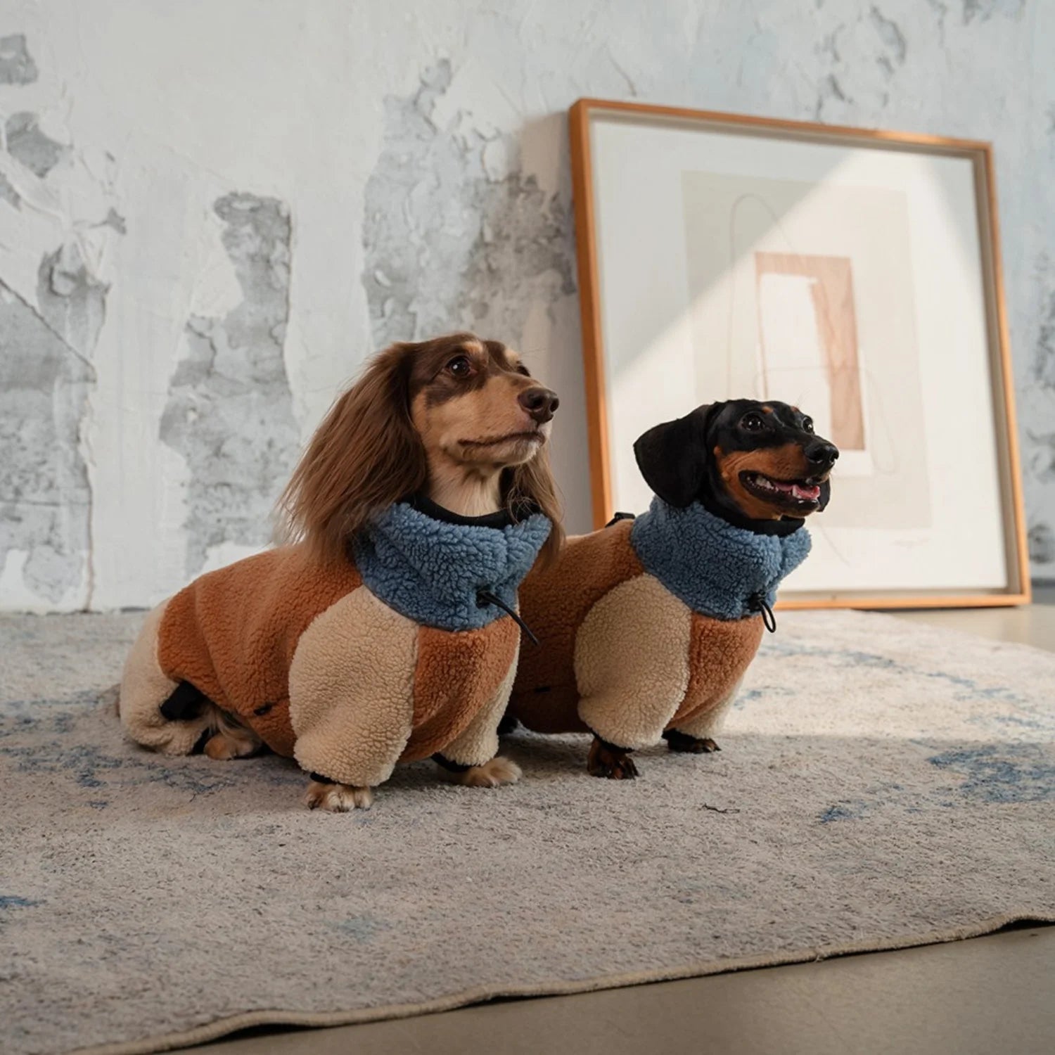 Sherpa Fleece Four-Leg Dachshund Winter Suit | Warm Adjustable Dog Outfit Wienerd Sherpa Fleece Four-Leg Dachshund Winter Suit | Warm Adjustable Dog Outfit Wienerd