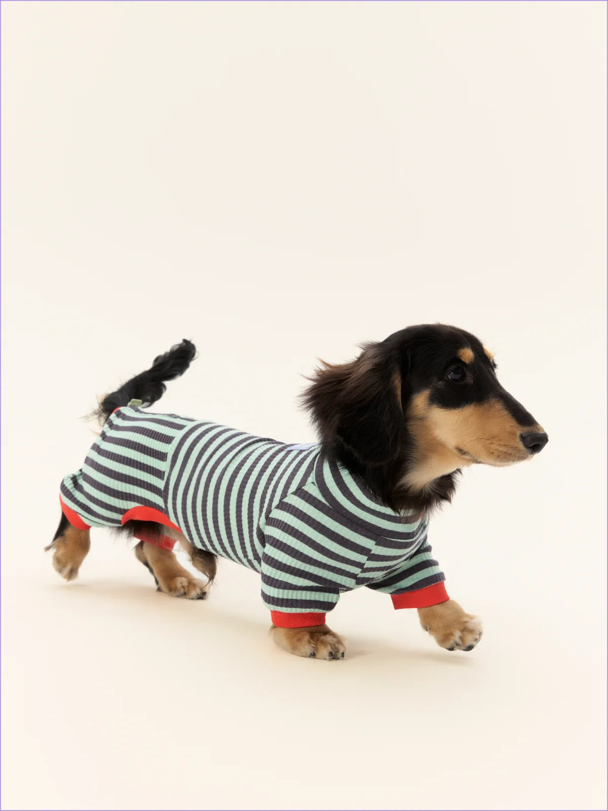 Onesies for Dachshund