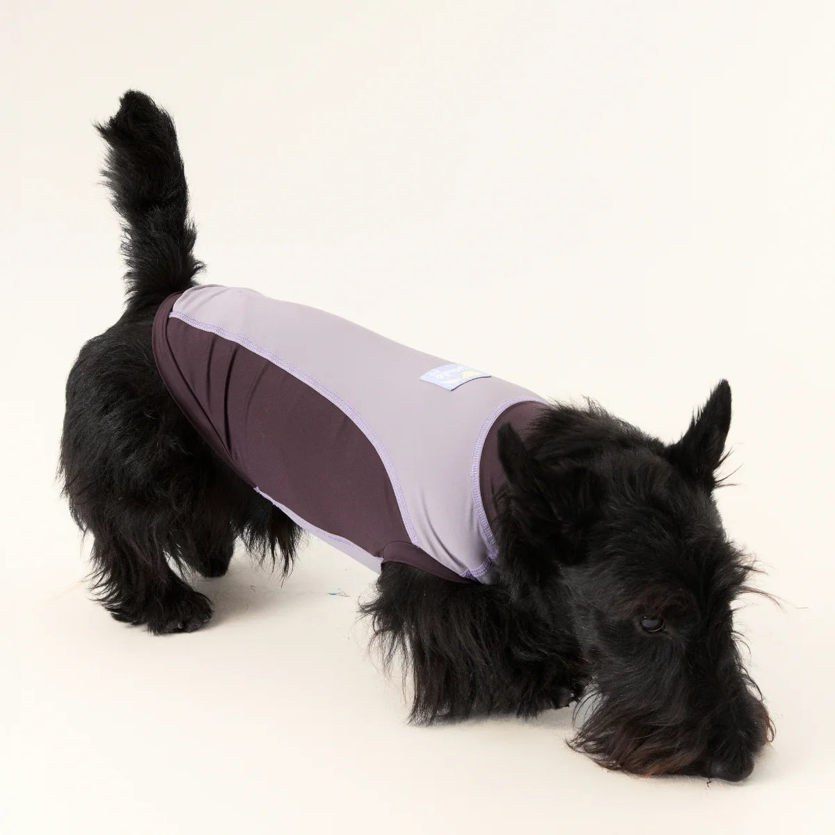 Purple Quick-drying Tank Tops for Dachshund