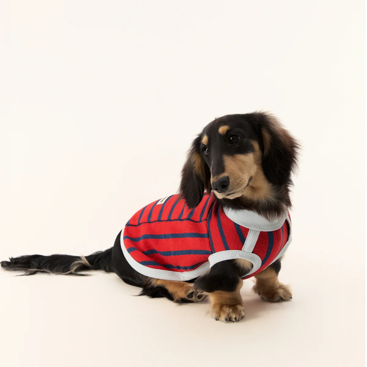 Red Striped Towel Fabric Tank Top for Dachshund