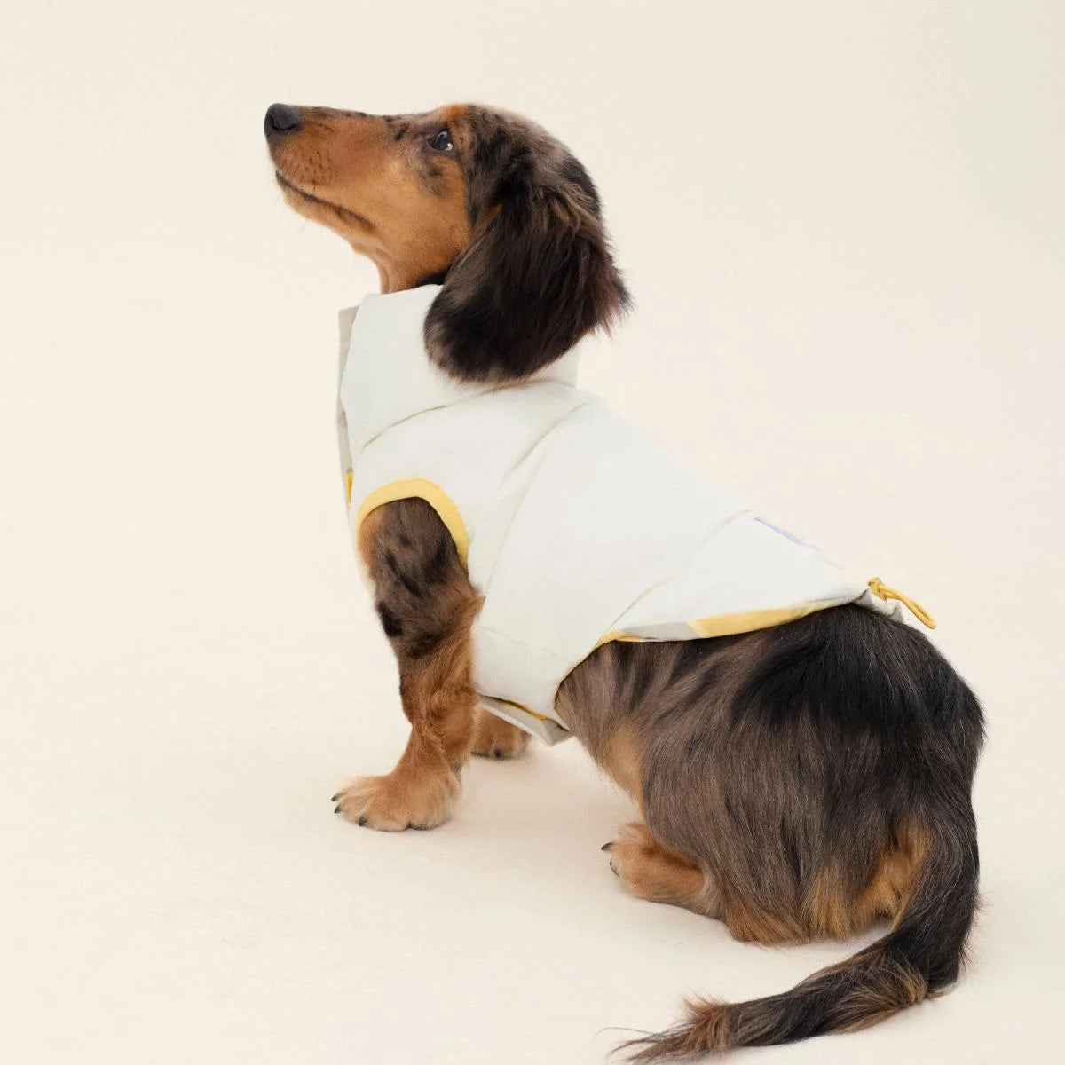 Reversible Cotton Vest Jacket for Dachshund