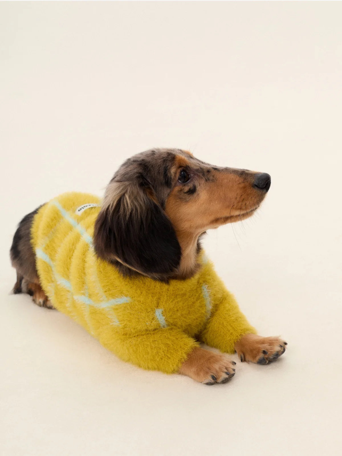 Sweaters for Dachshund