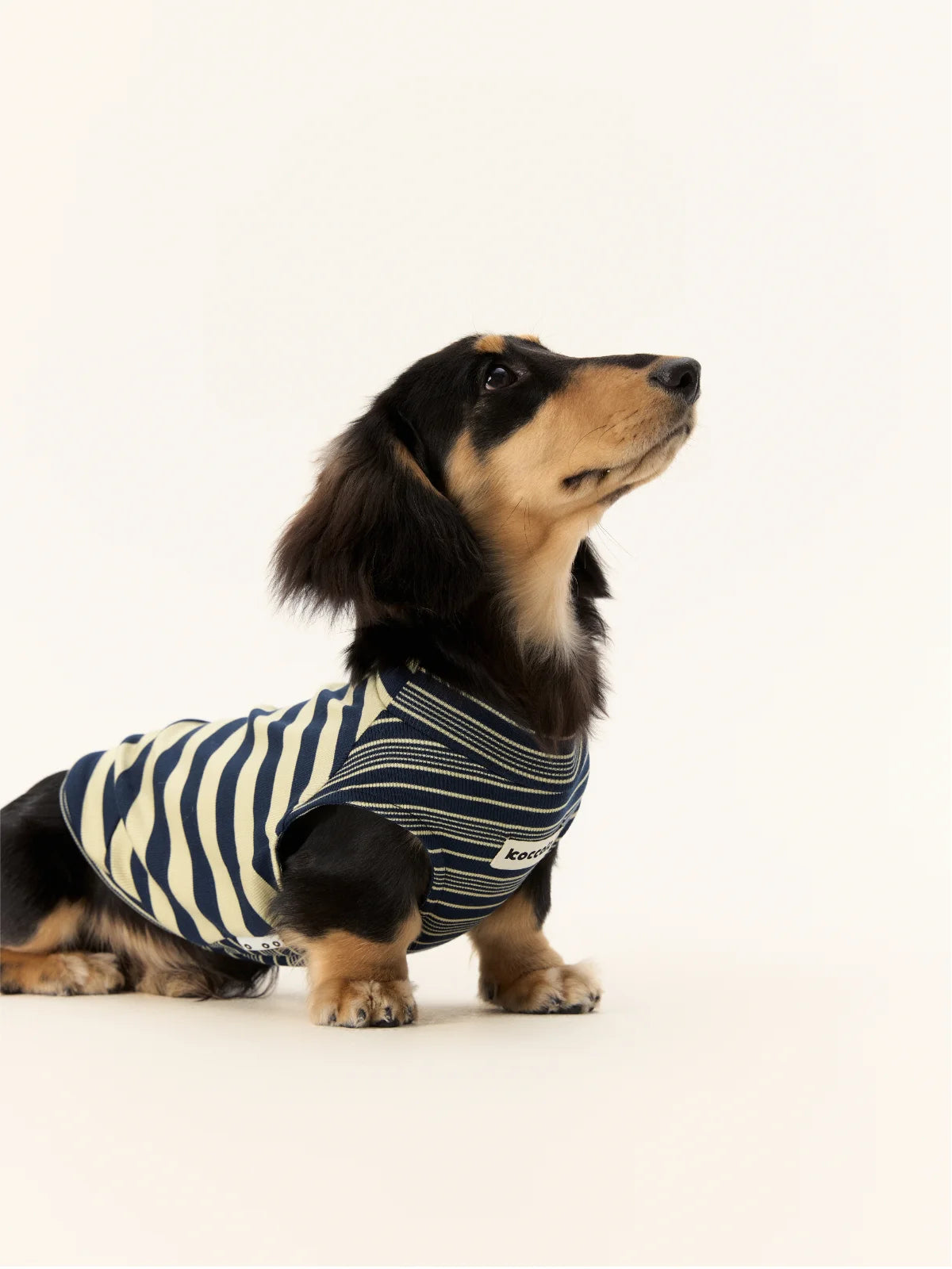 Tank Tops for Dachshund
