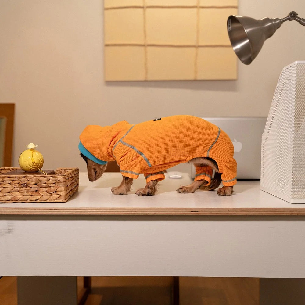 Waffle Knit Hooded Onesie for Dachshunds - Orange