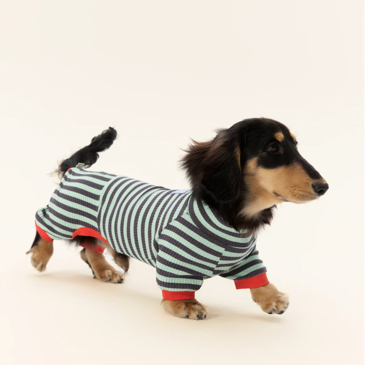 Blue Striped Onesie for Wiener