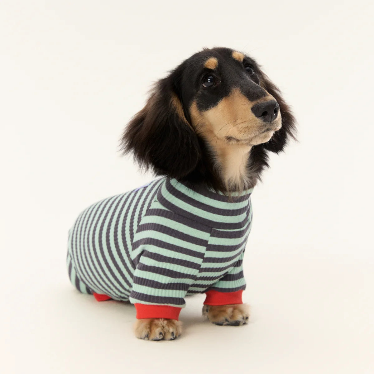 Blue Striped Onesie for Wiener