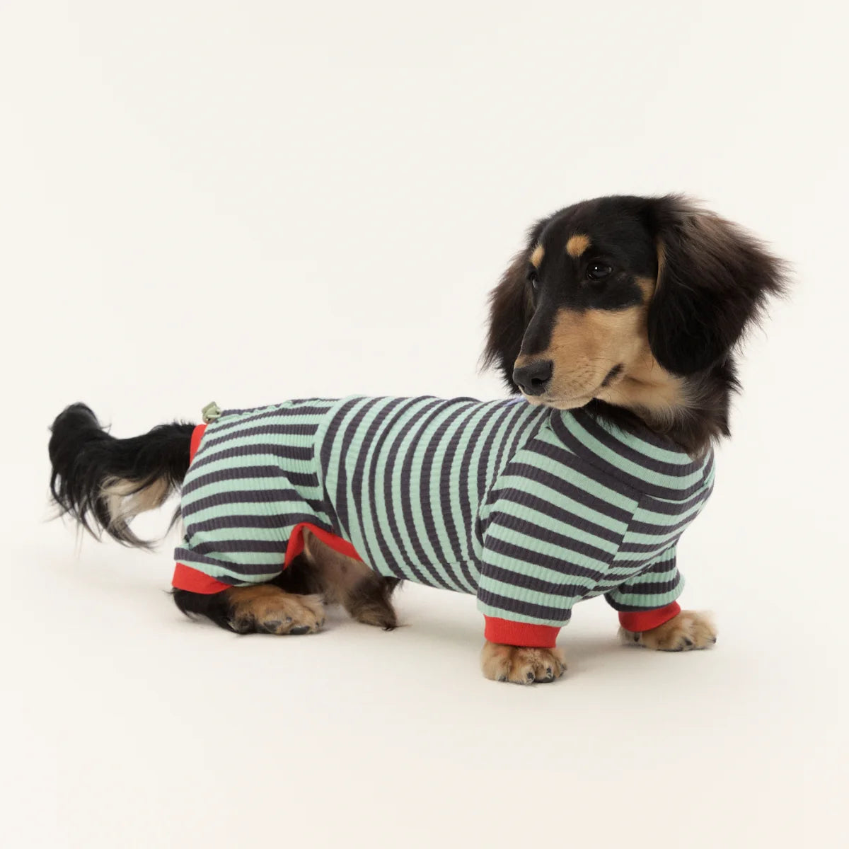Blue Striped Onesie for Wiener