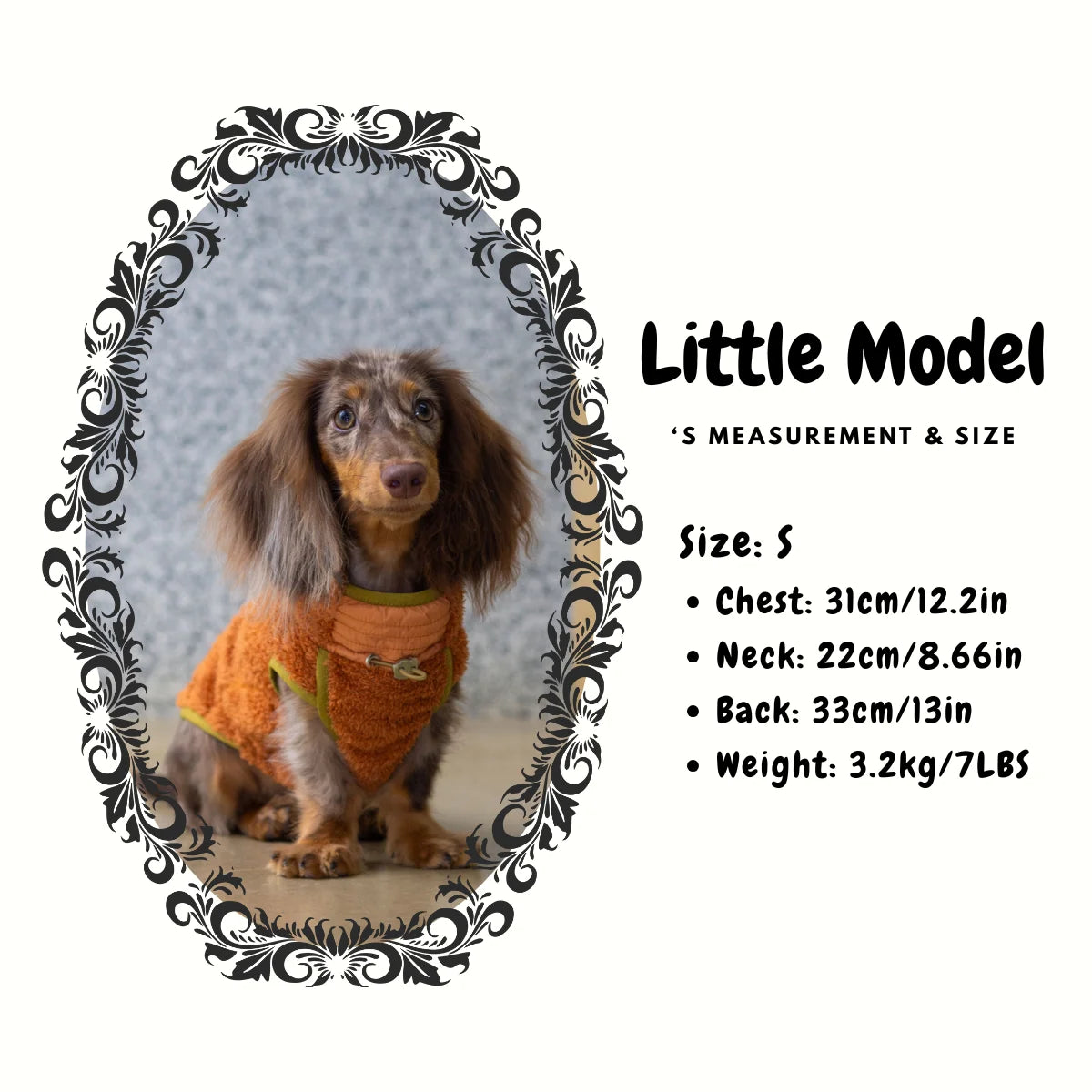Breathable Fleece Vest for Dachshunds - Model size