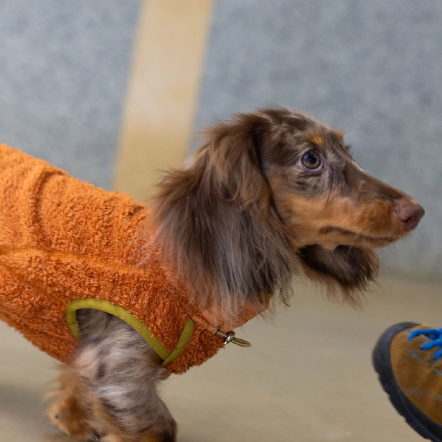 Breathable Fleece Vest for Dachshunds
