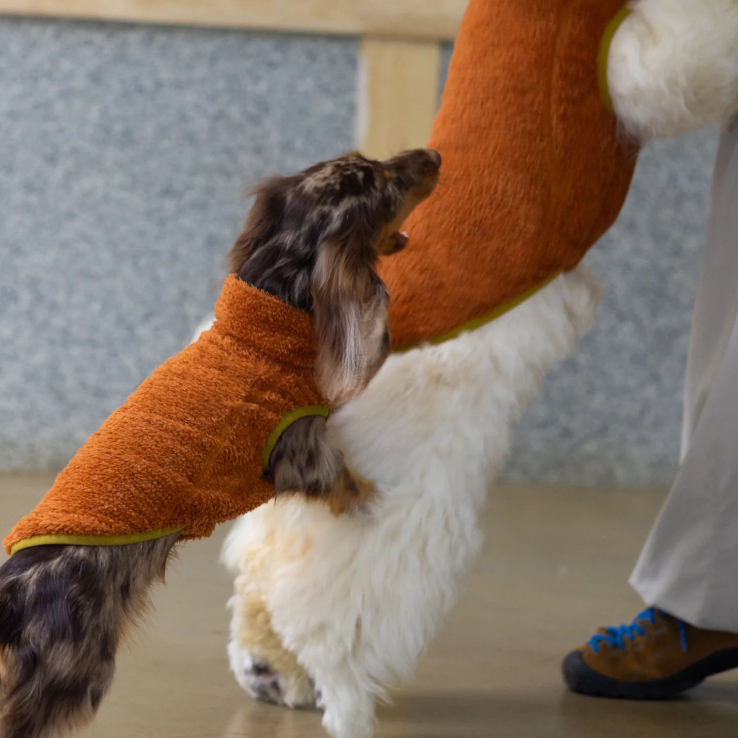 Breathable Fleece Vest for Dachshunds