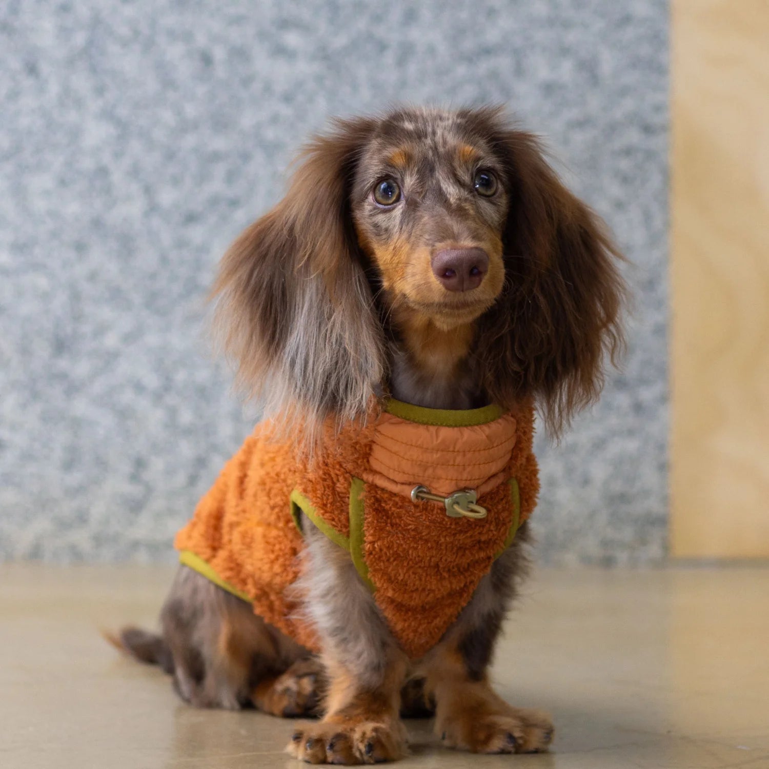 Breathable Fleece Vest for Dachshunds