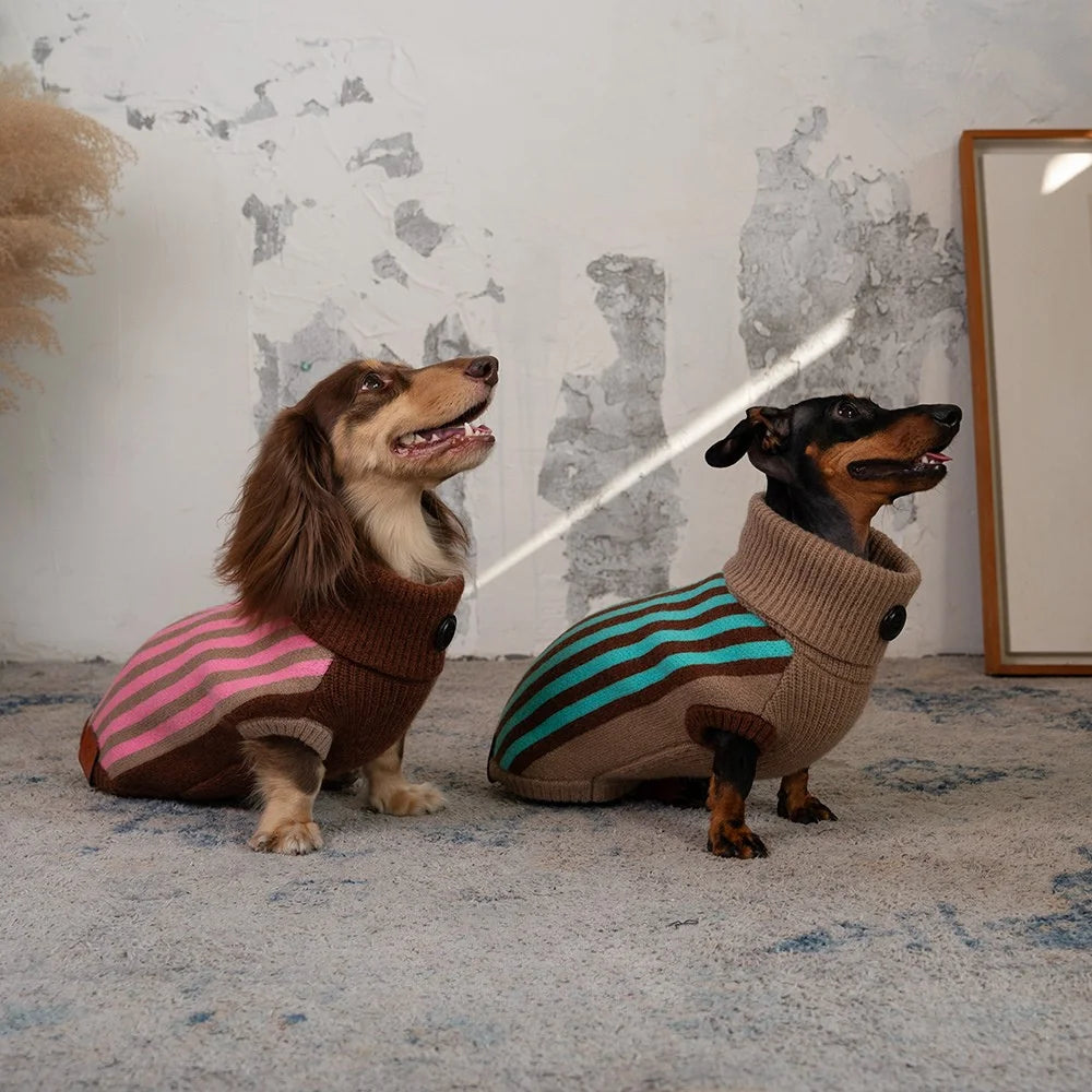 Canelé Winter Striped Turtleneck Sweater for Dachshund