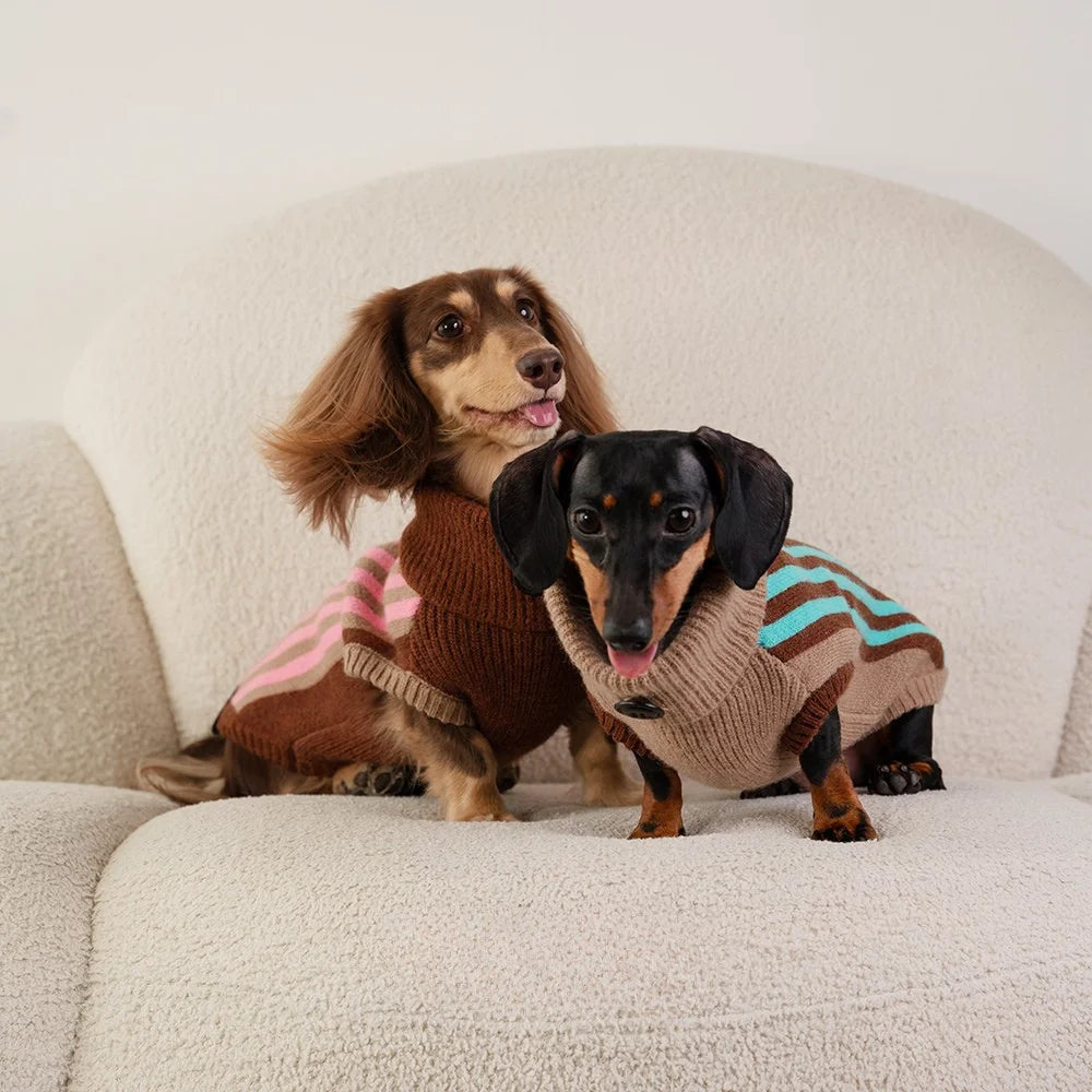 Canelé Winter Striped Turtleneck Sweater for Dachshund