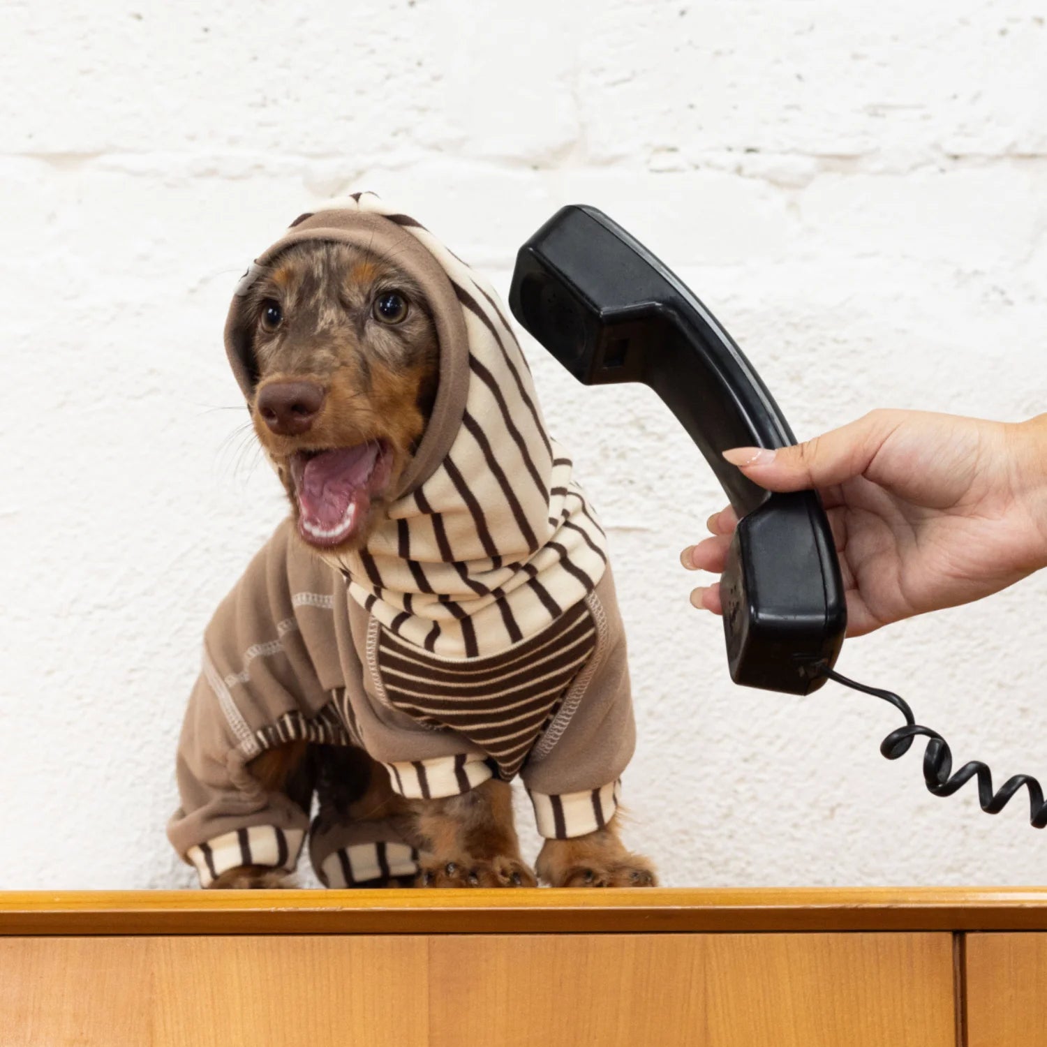 Caramel Striped Fleece Onesie Hoodie for Dachshunds