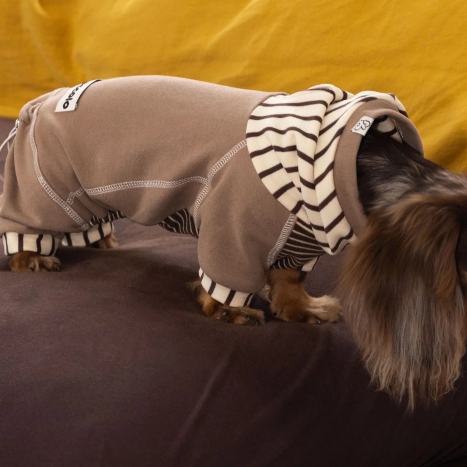 Caramel Striped Fleece Onesie Hoodie for Dachshunds