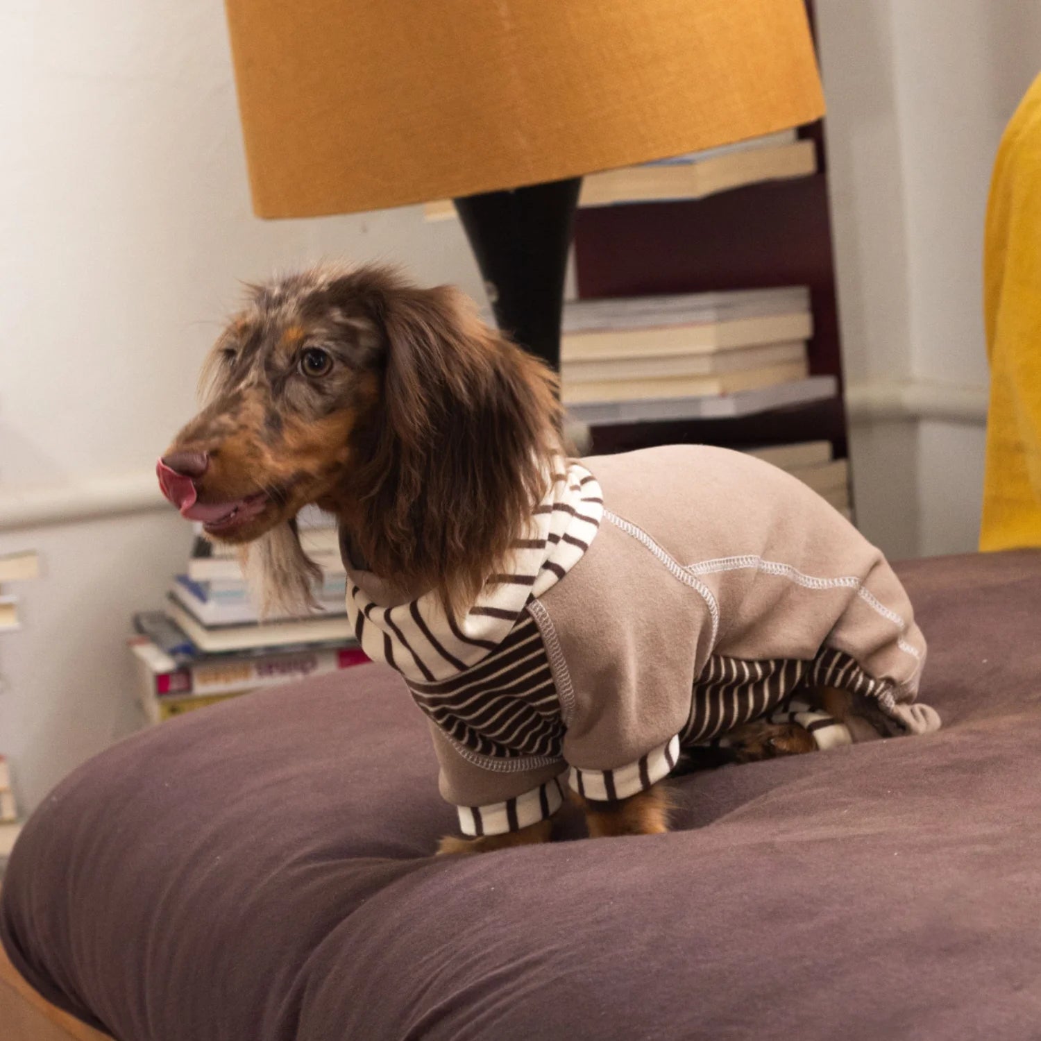 Caramel Striped Fleece Onesie Hoodie for Dachshunds