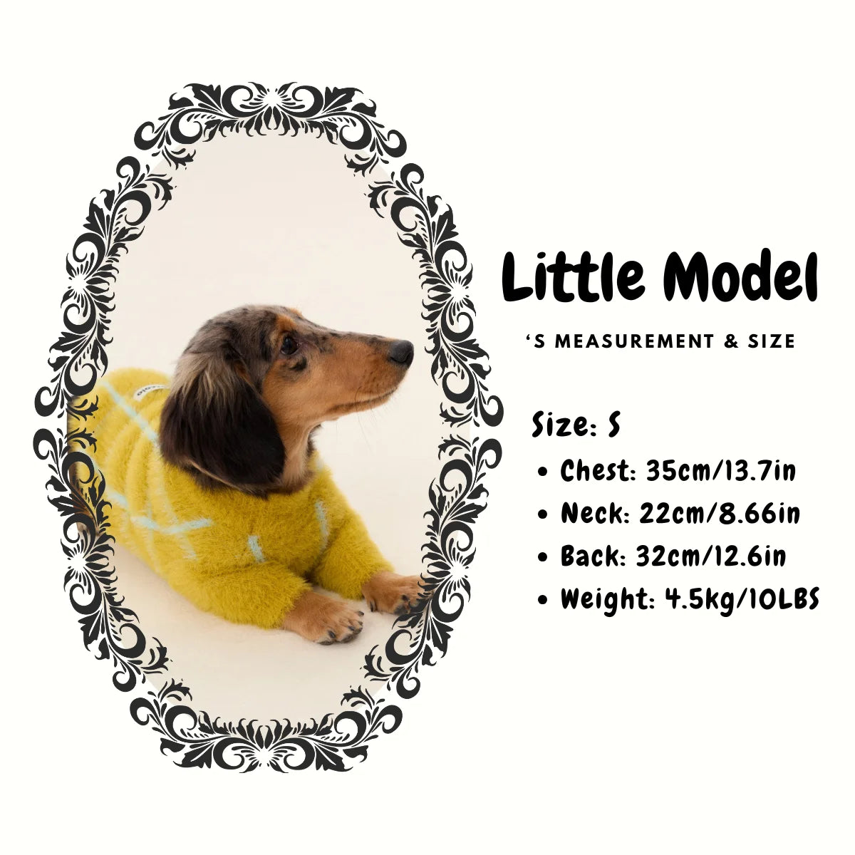 Check Faux Mink Sweater for Dachshund - Model size