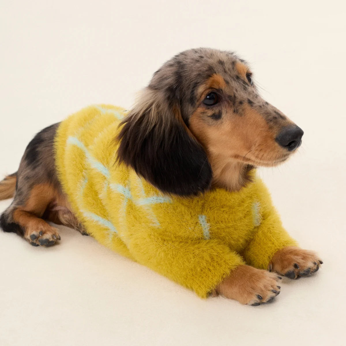 Check Faux Mink Sweater for Dachshund
