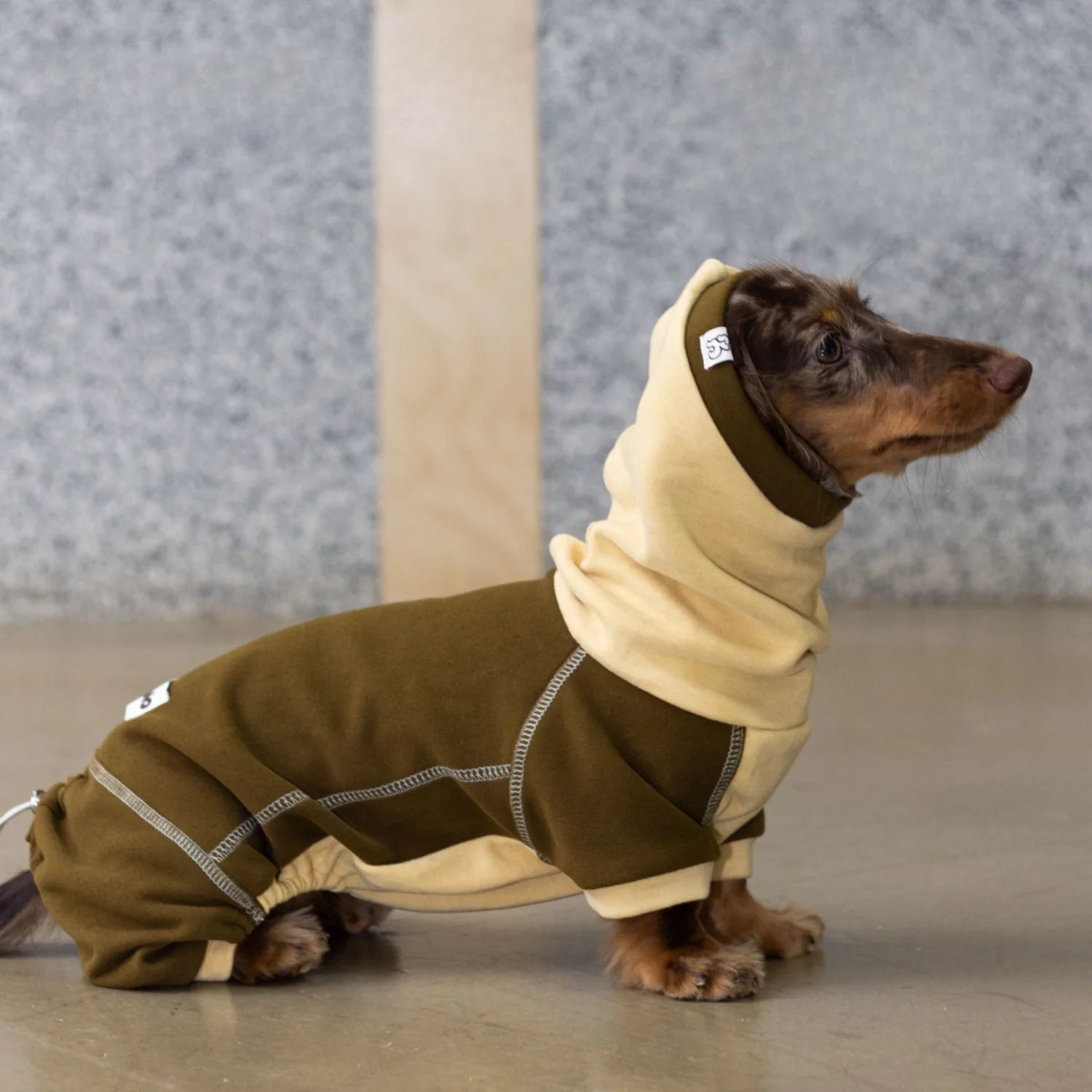 Chestnut Thermal Fleece Onesie with Hood for Dachshunds