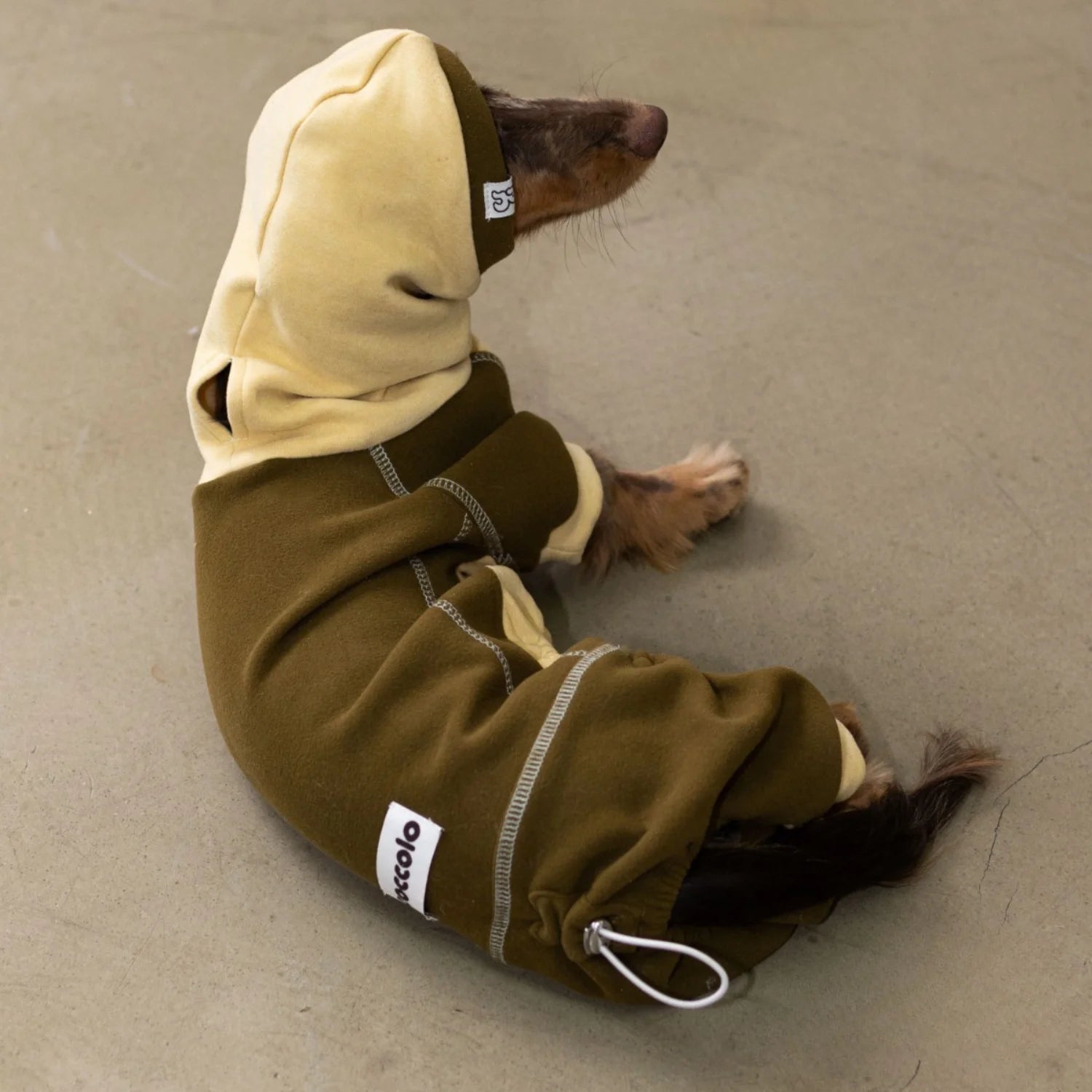 Chestnut Thermal Fleece Onesie with Hood for Dachshunds