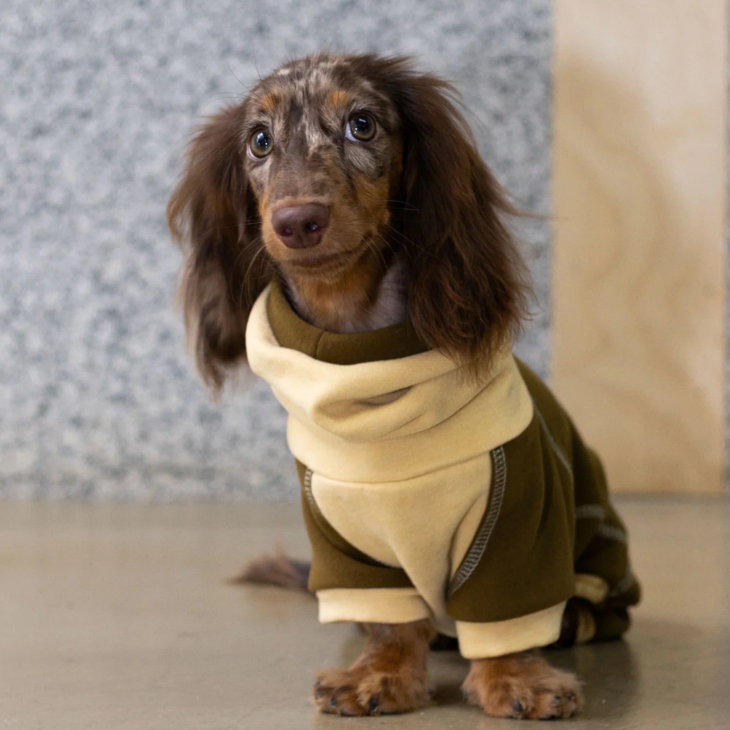 Chestnut Thermal Fleece Onesie with Hood for Dachshunds