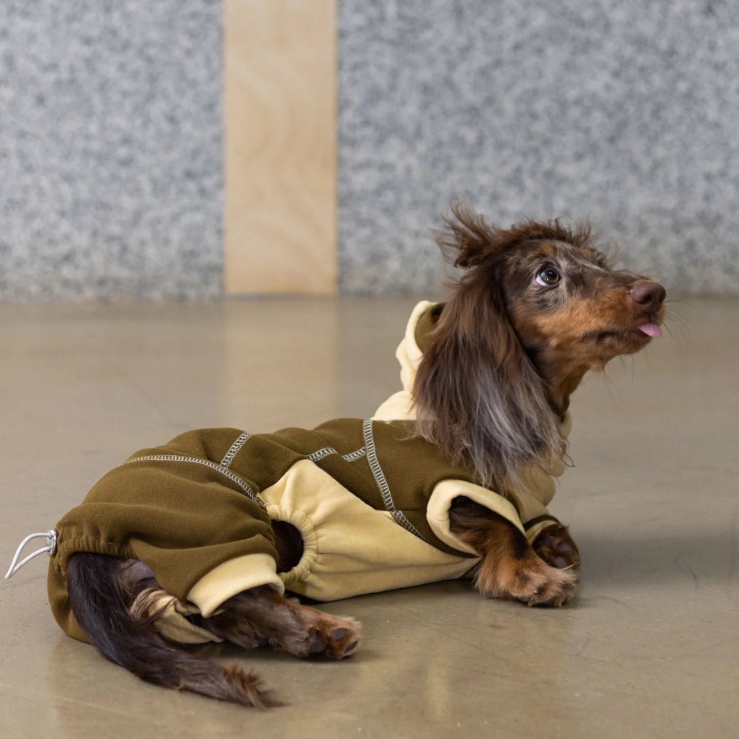 Chestnut Thermal Fleece Onesie with Hood for Dachshunds