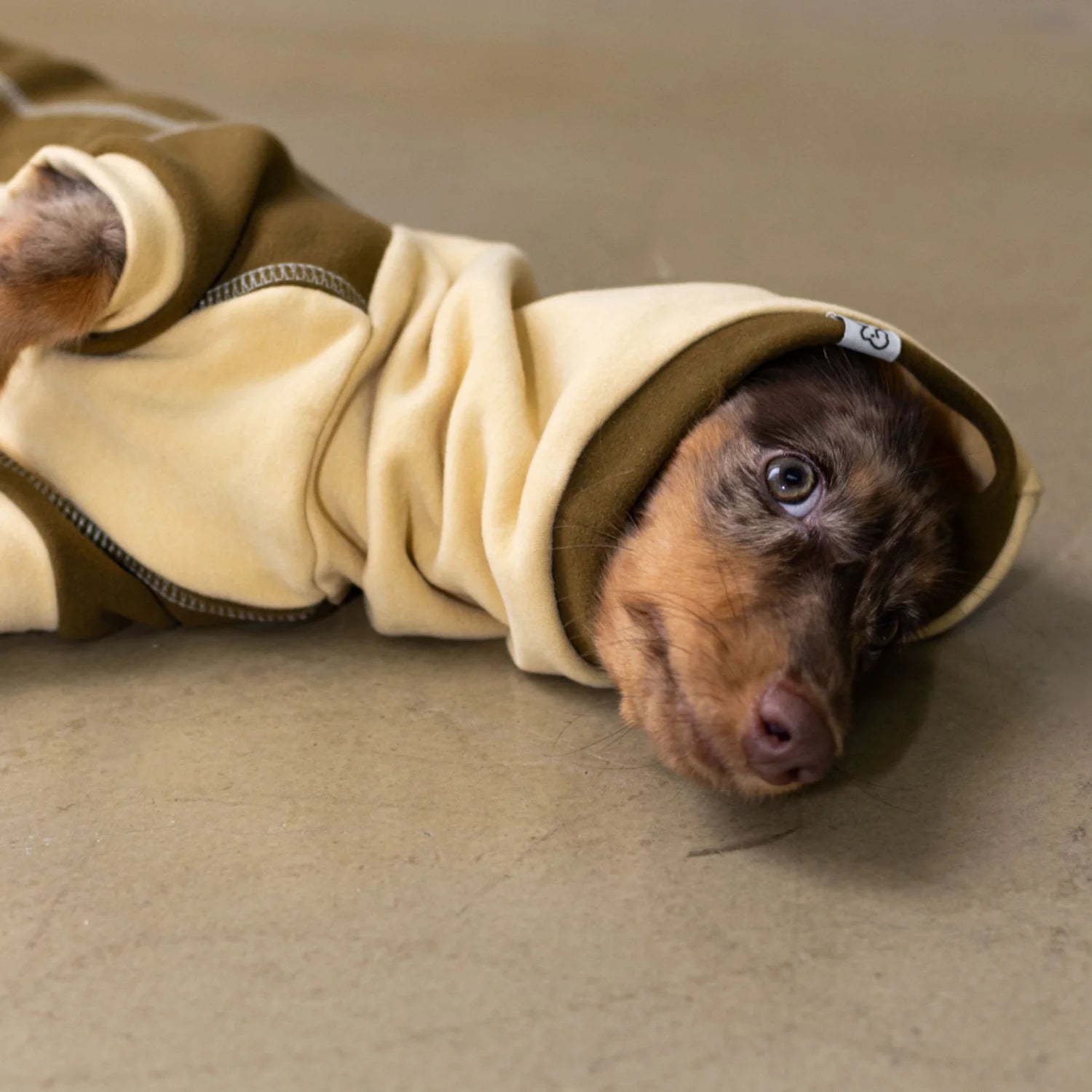 Chestnut Thermal Fleece Onesie with Hood for Dachshunds