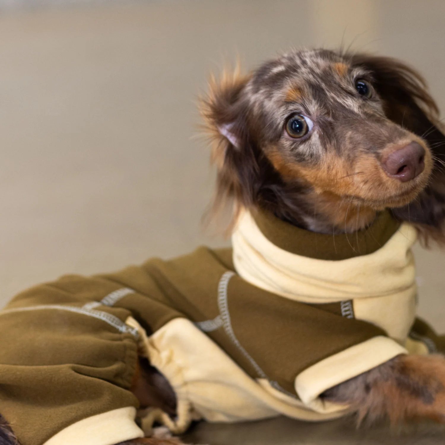 Chestnut Thermal Fleece Onesie with Hood for Dachshunds