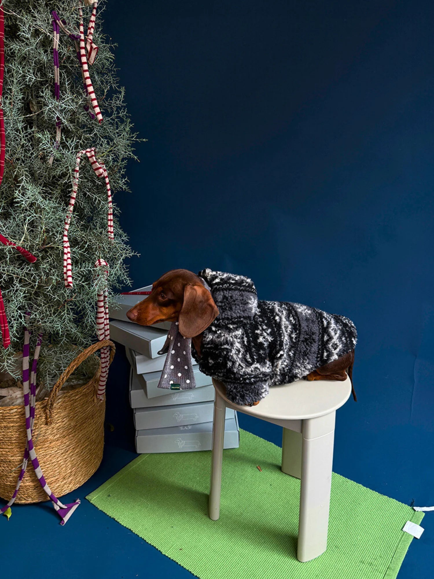 Christmas Fleece Hooded Coat for Dachshunds