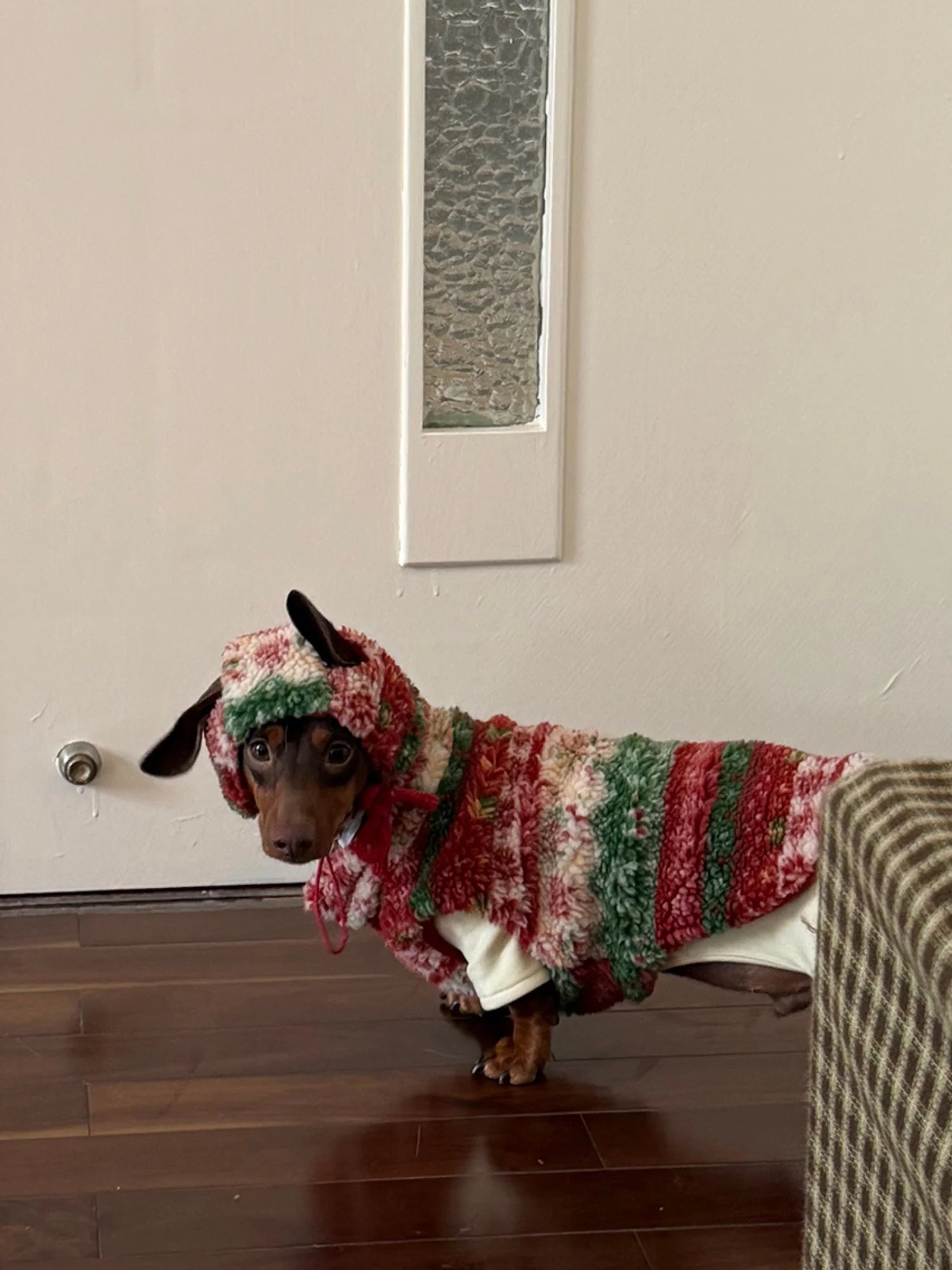Christmas Sherpa Fleece Vest for Dachshunds