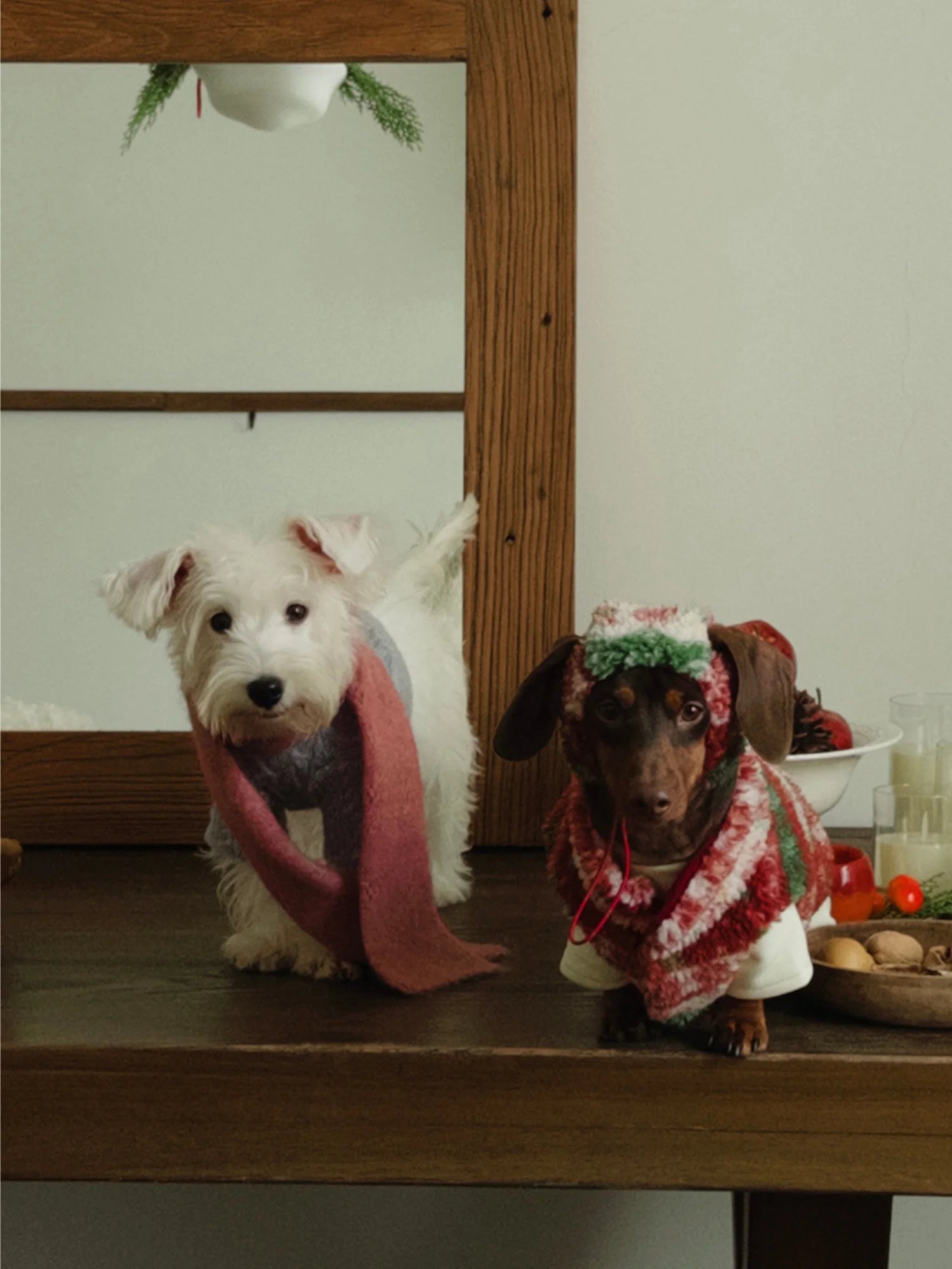 Christmas Sherpa Fleece Vest for Dachshunds