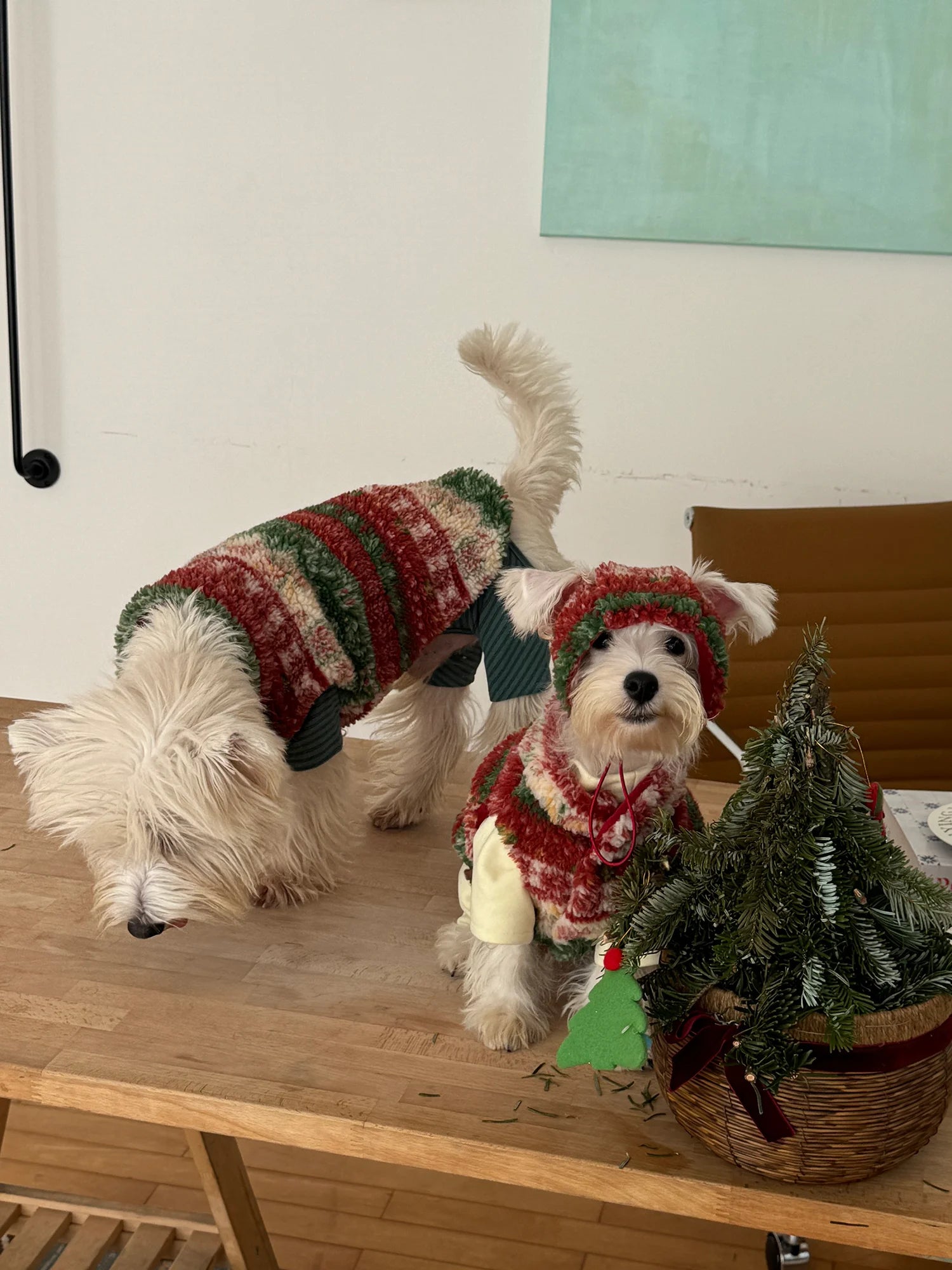 Christmas Sherpa Fleece Vest for Dachshunds