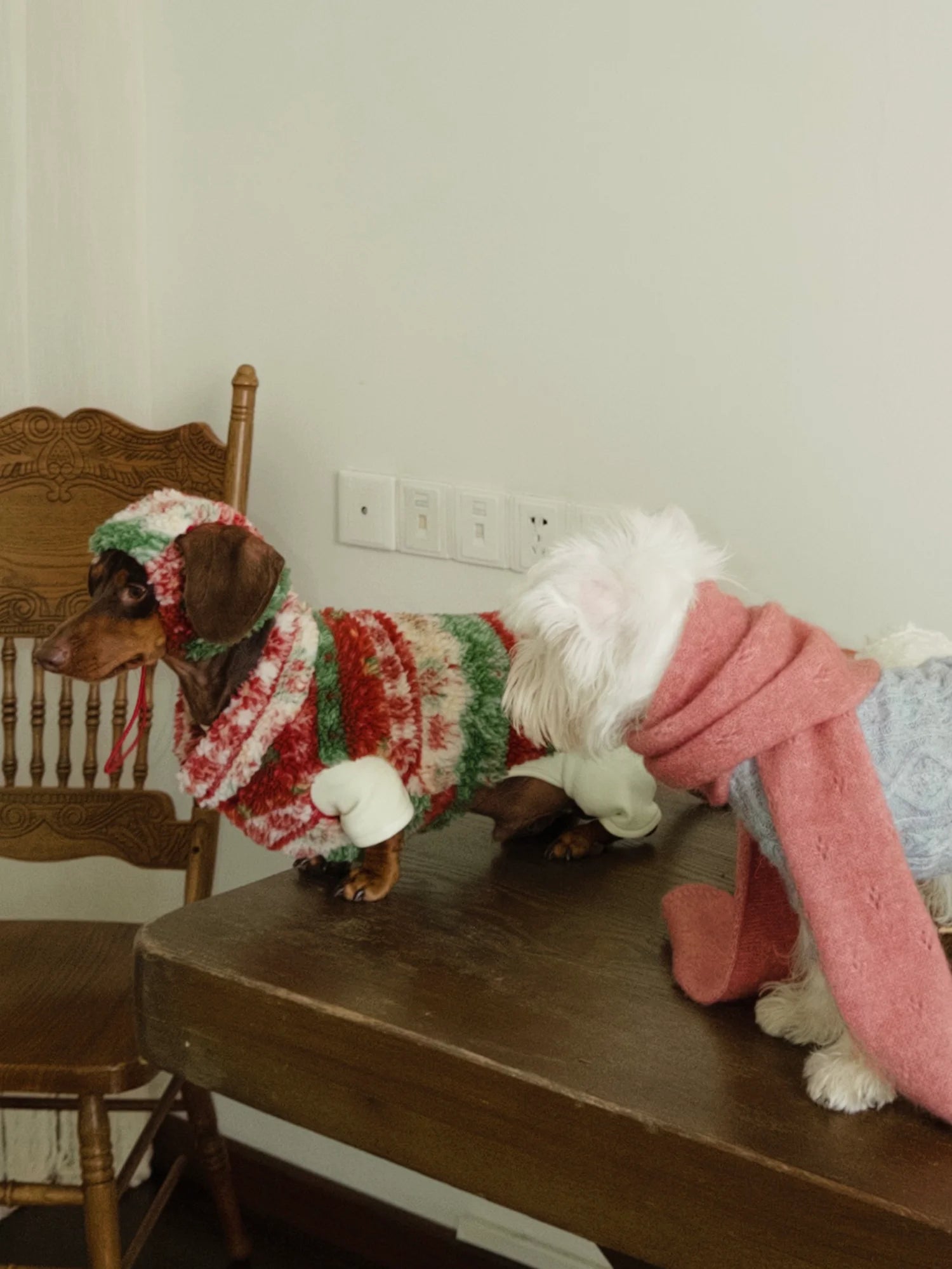 Christmas Sherpa Fleece Vest for Dachshunds