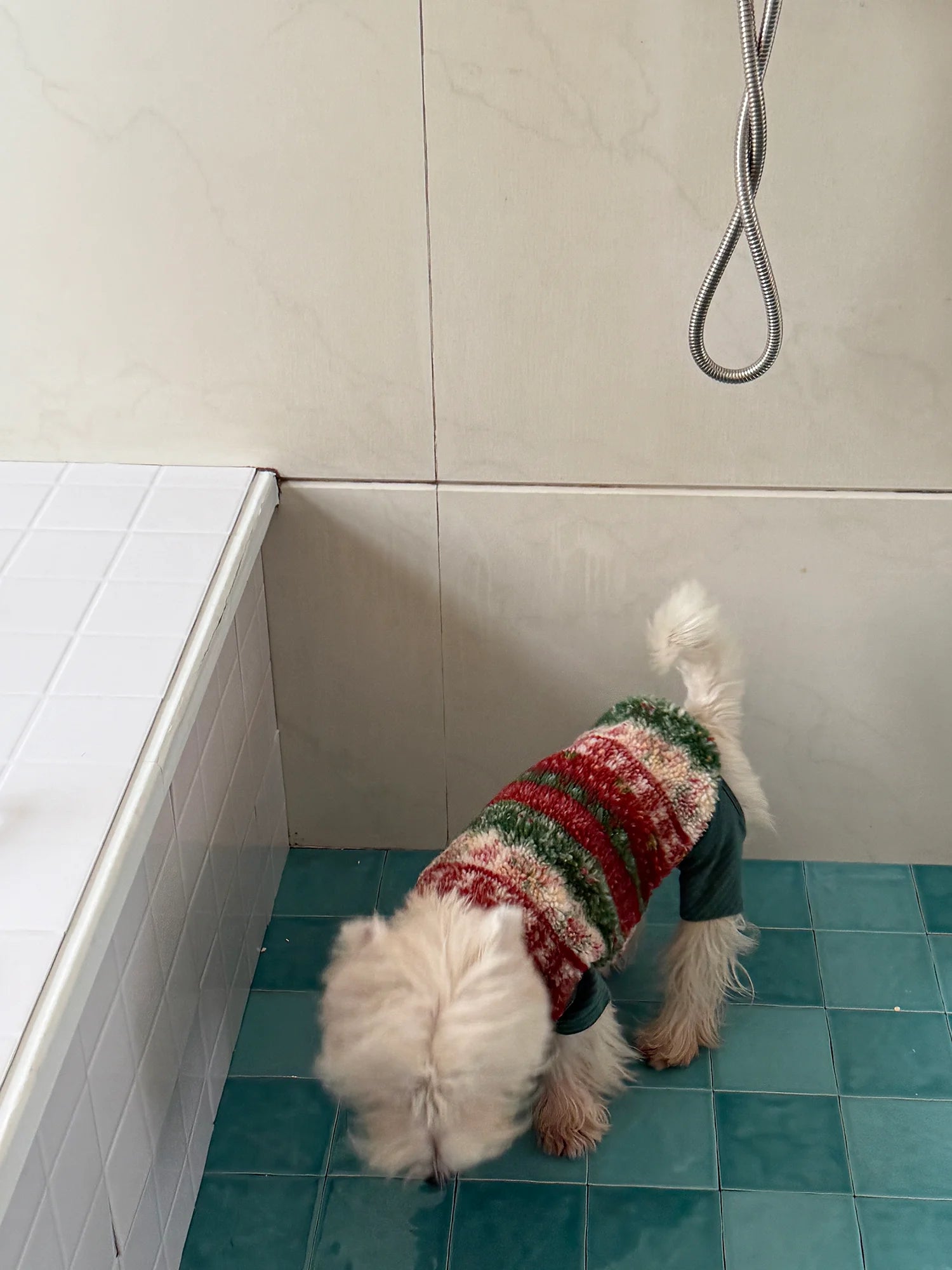 Christmas Sherpa Fleece Vest for Dachshunds