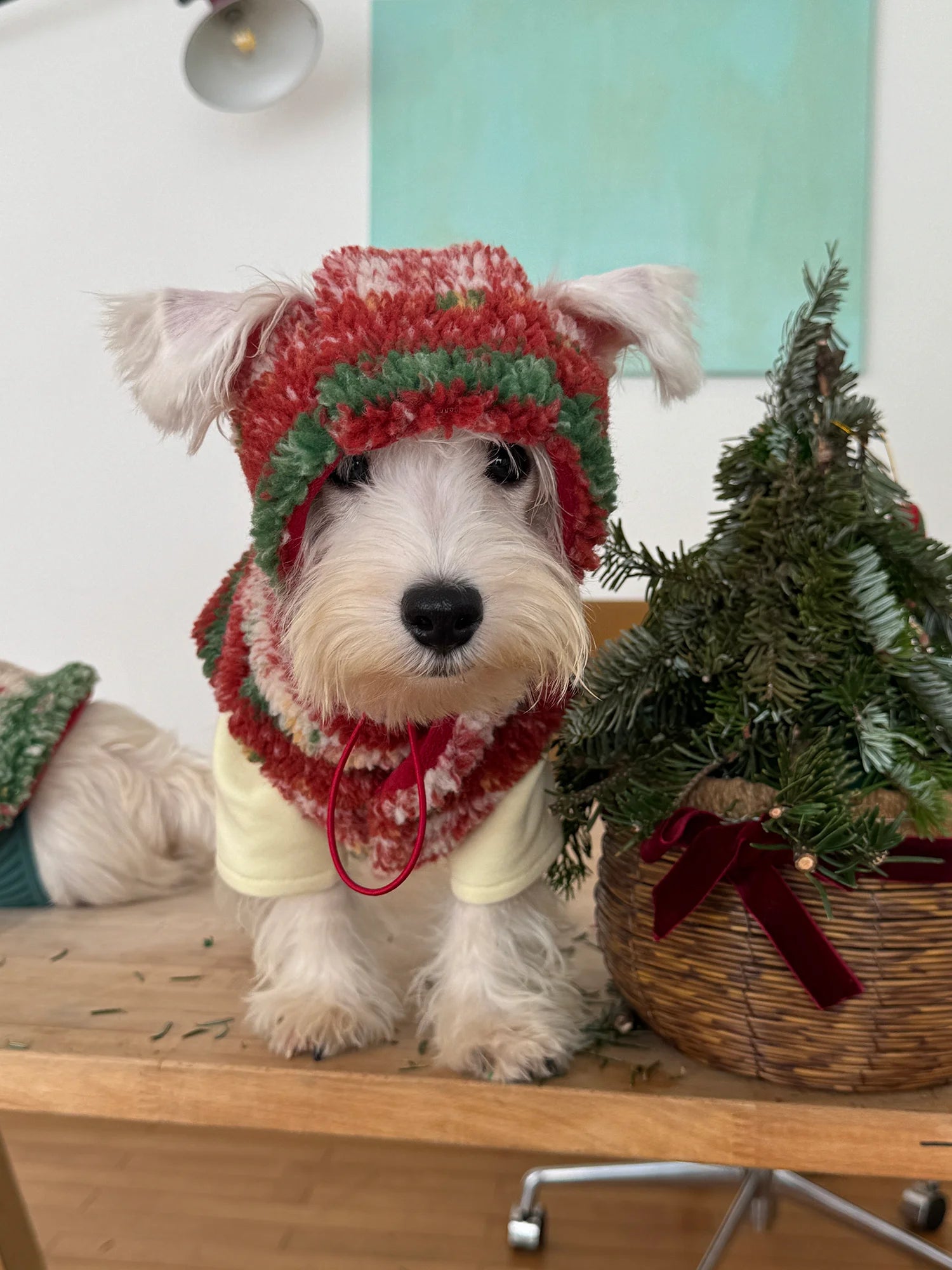 Christmas Sherpa Fleece Vest for Dachshunds