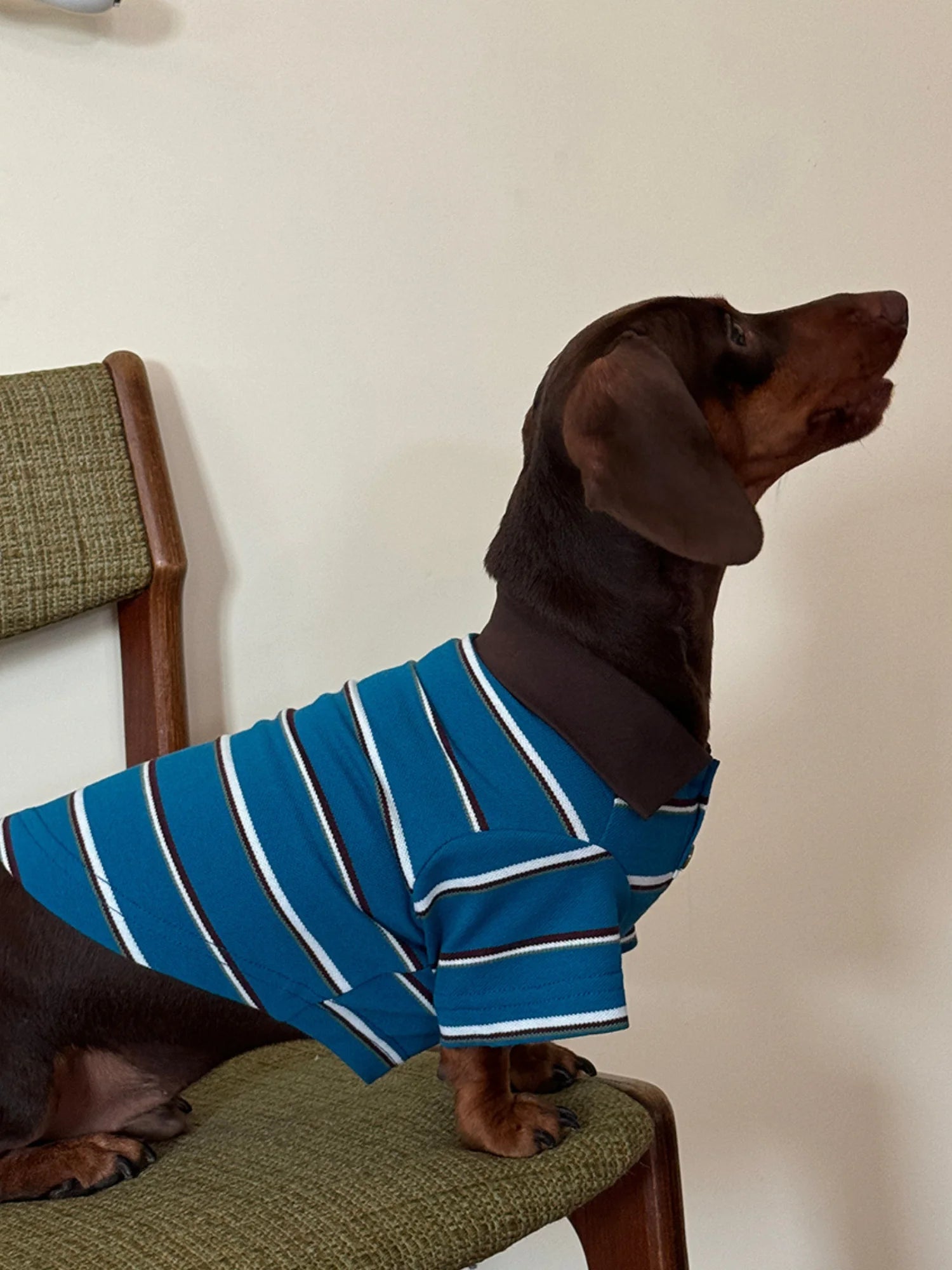 Classic Blue Striped Polo Shirt for Dachshund