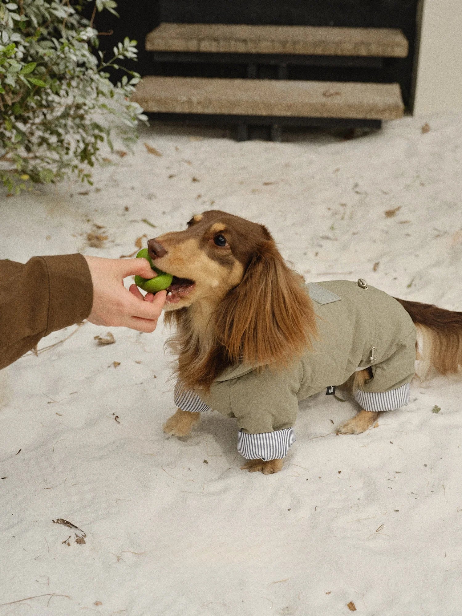 Color Block Striped Four-Leg Puffer for Dachshunds