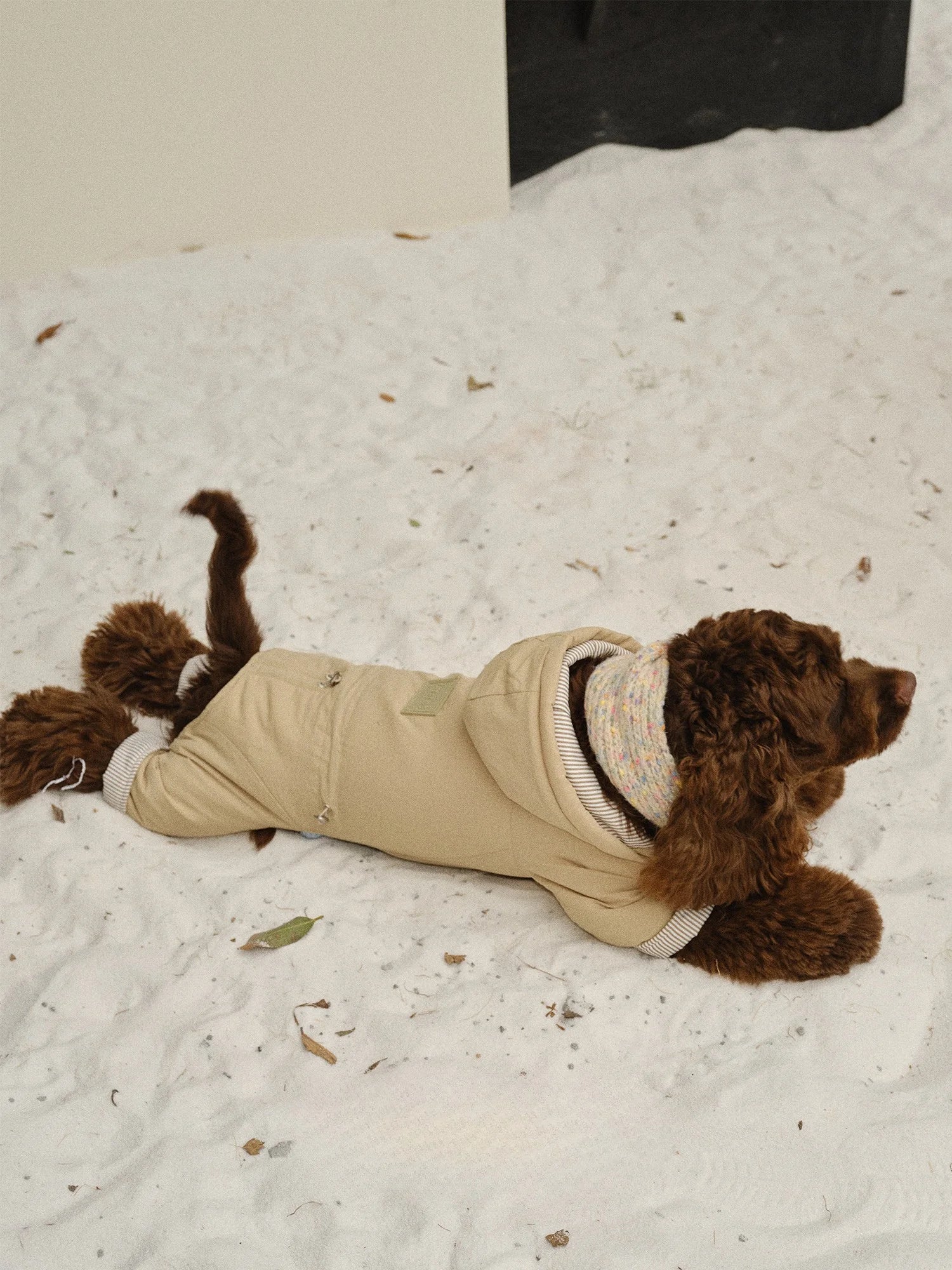 Color Block Striped Four-Leg Puffer for Dachshunds