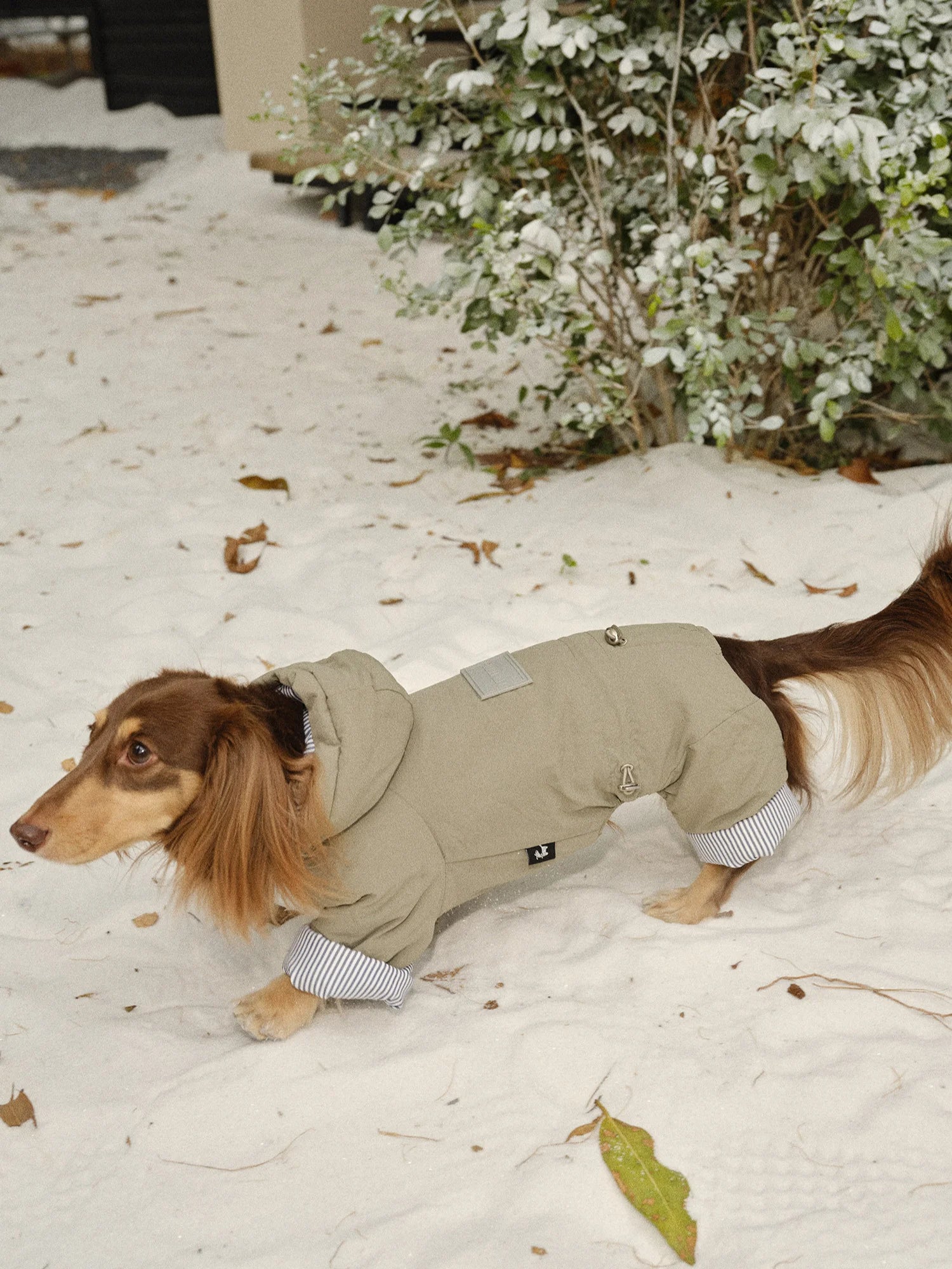Color Block Striped Four-Leg Puffer for Dachshunds