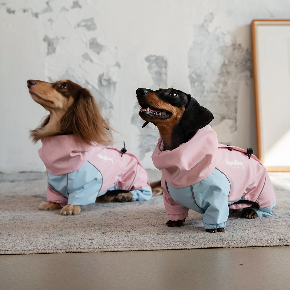 Colorblock Waterproof Dachshund Jumpsuit – Four-Leg Outdoor Jacket Raincoat