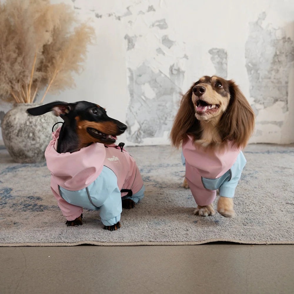 Colorblock Waterproof Dachshund Jumpsuit – Four-Leg Outdoor Jacket Raincoat