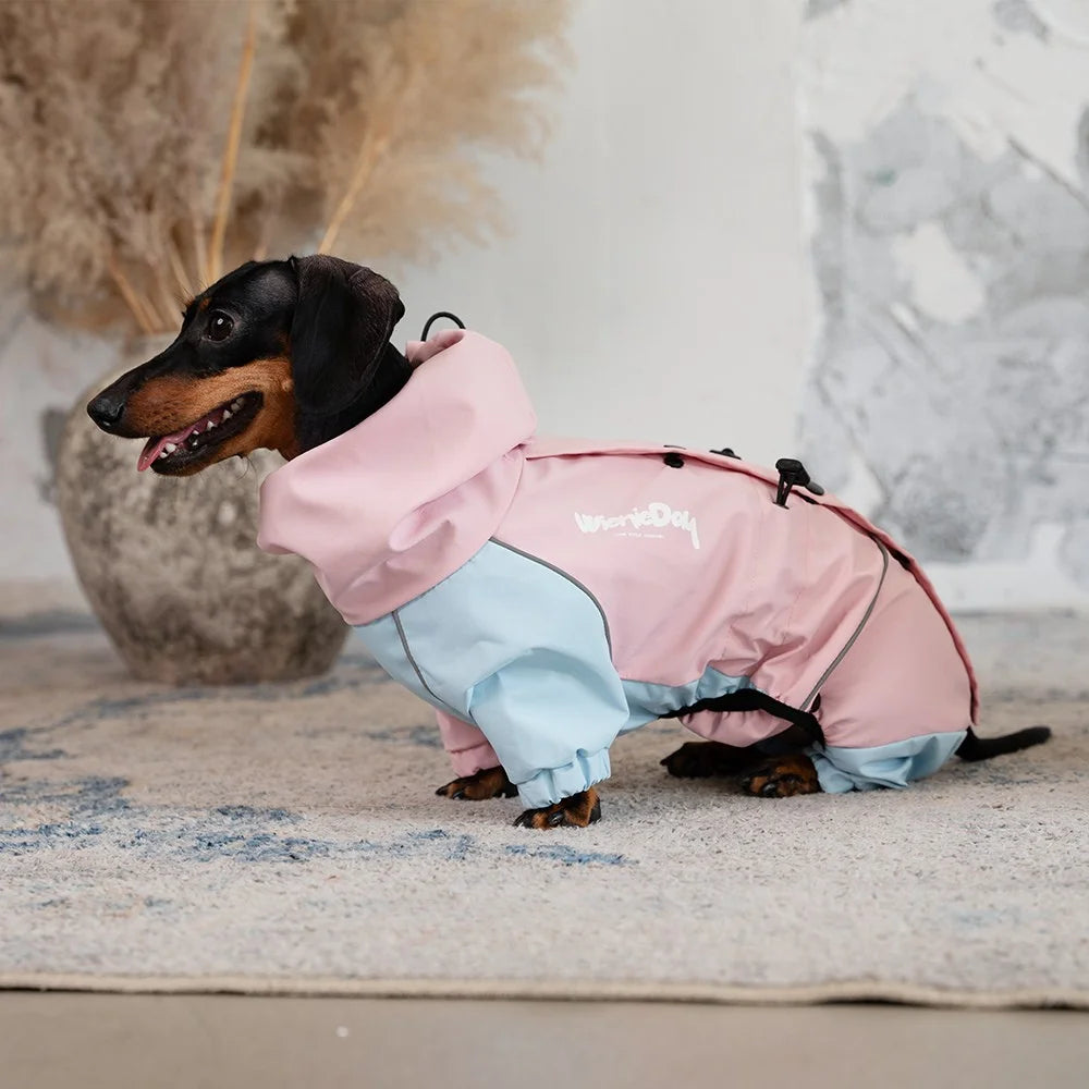 Colorblock Waterproof Dachshund Jumpsuit – Four-Leg Outdoor Jacket Raincoat