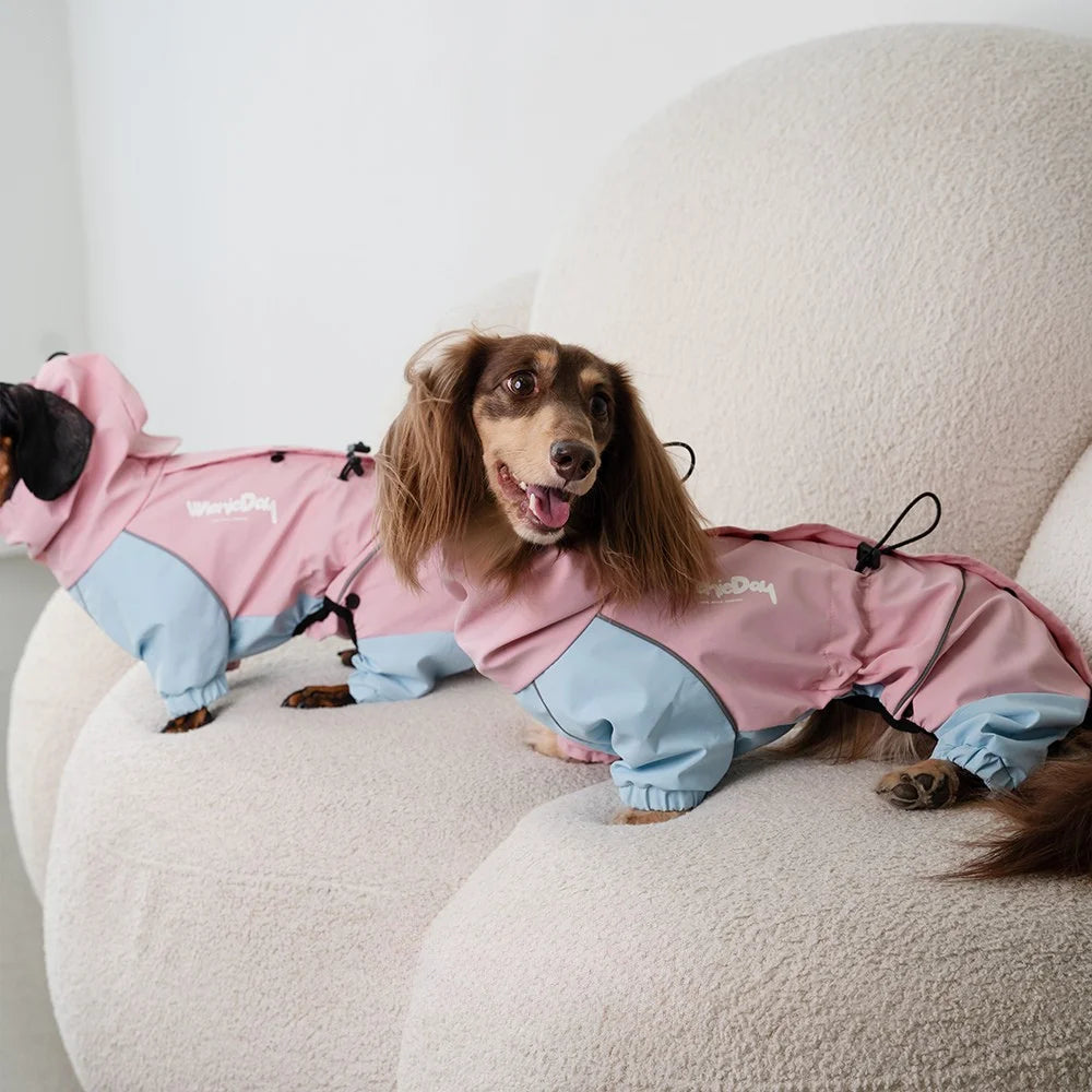 Colorblock Waterproof Dachshund Jumpsuit – Four-Leg Outdoor Jacket Raincoat