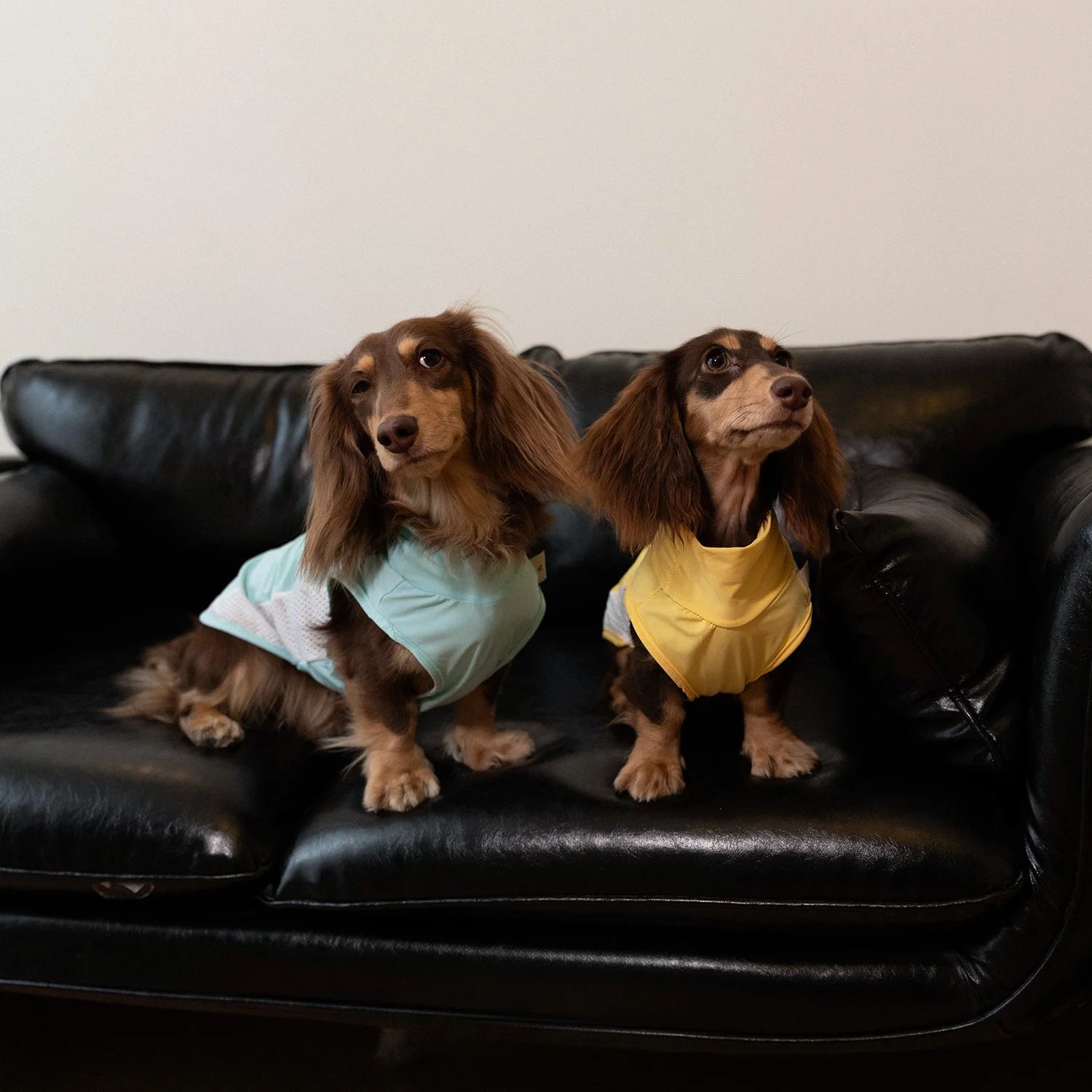 Cooling Ice-Silk Breathable Tank Top for Dachshunds