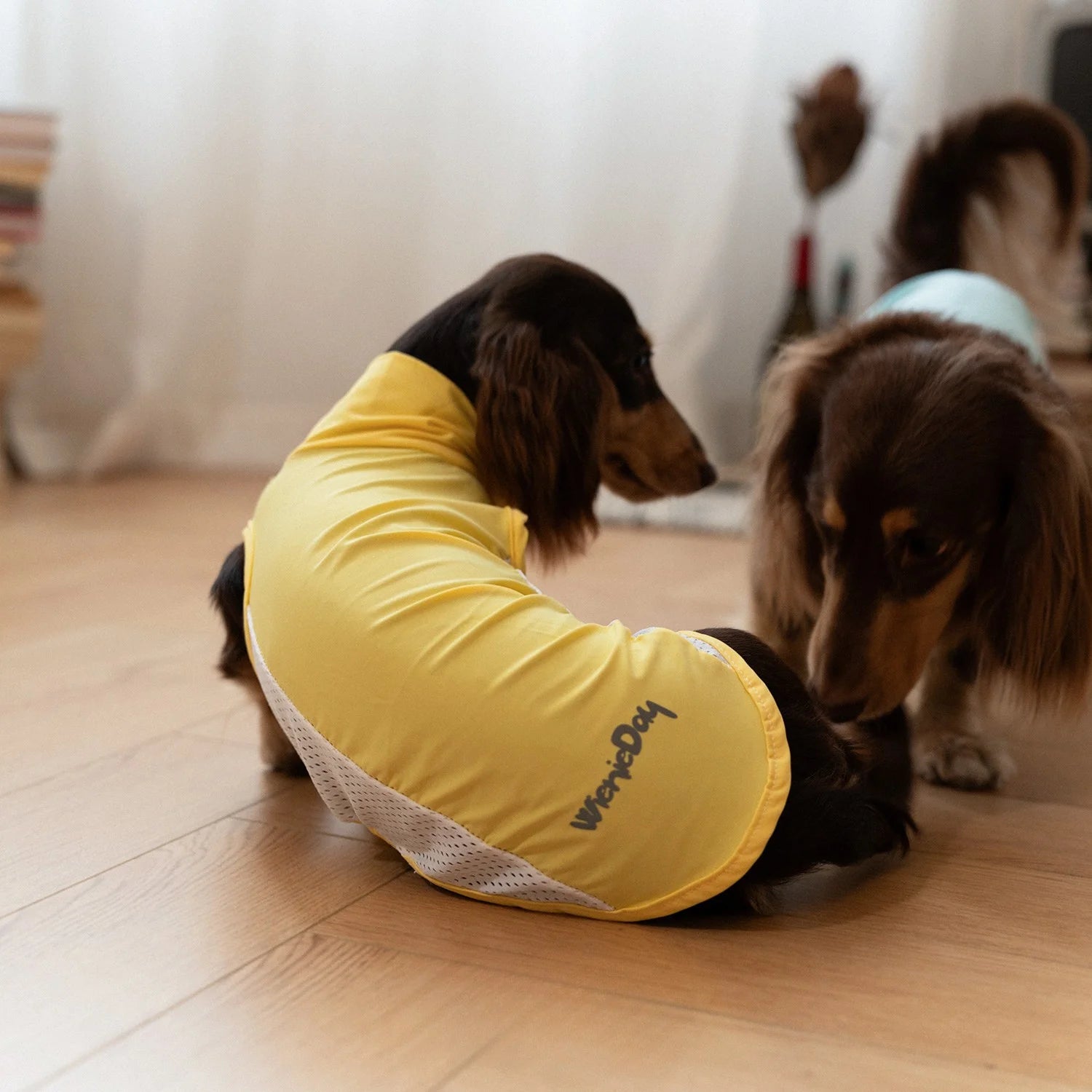 Cooling Ice-Silk Breathable Tank Top for Dachshunds