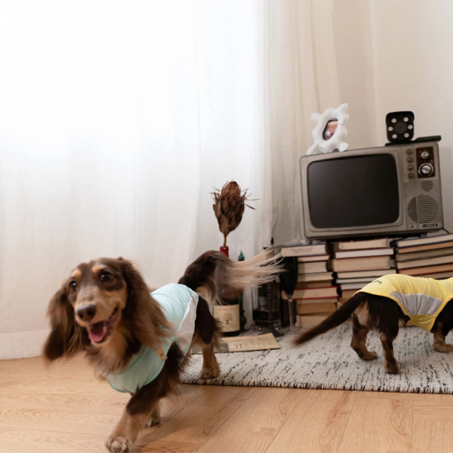 Cooling Ice-Silk Breathable Tank Top for Dachshunds