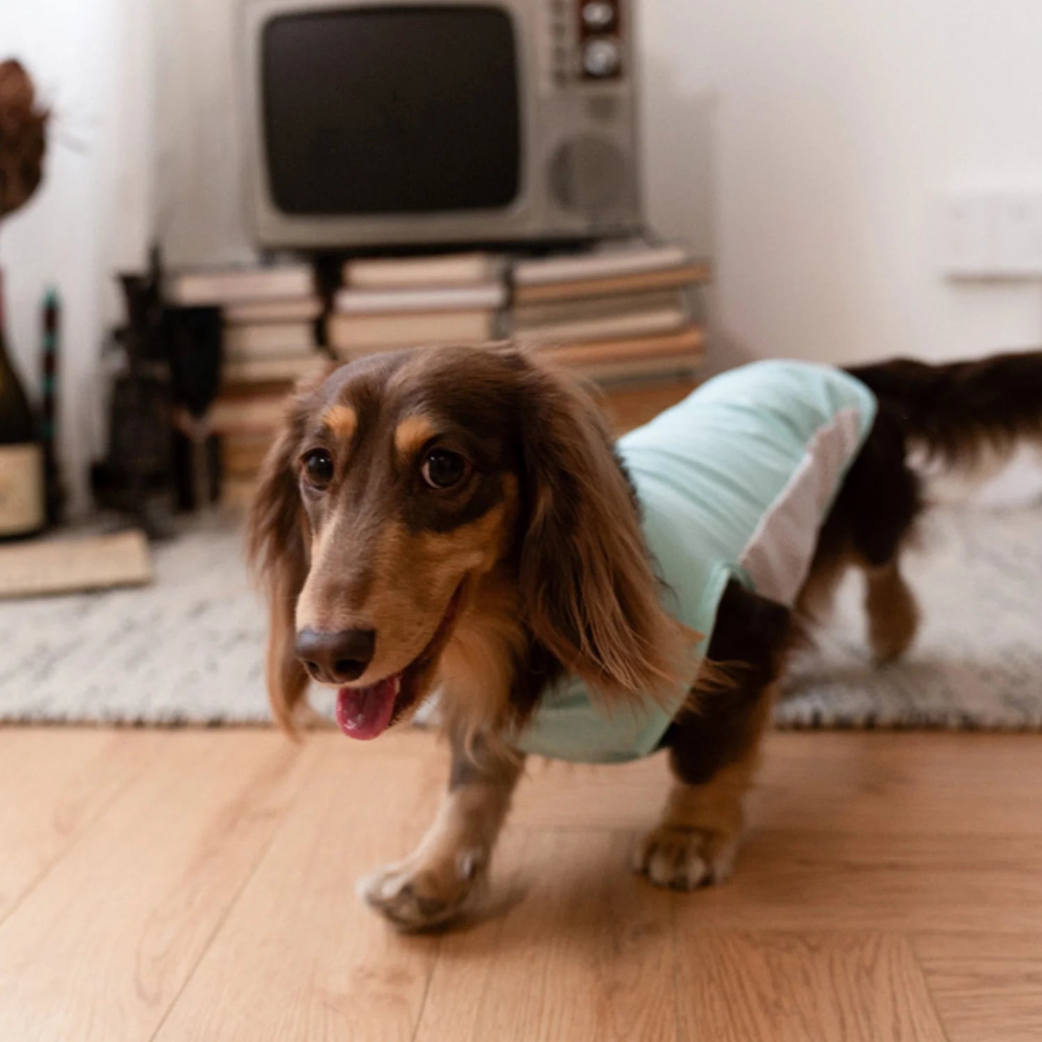 Cooling Ice-Silk Breathable Tank Top for Dachshunds