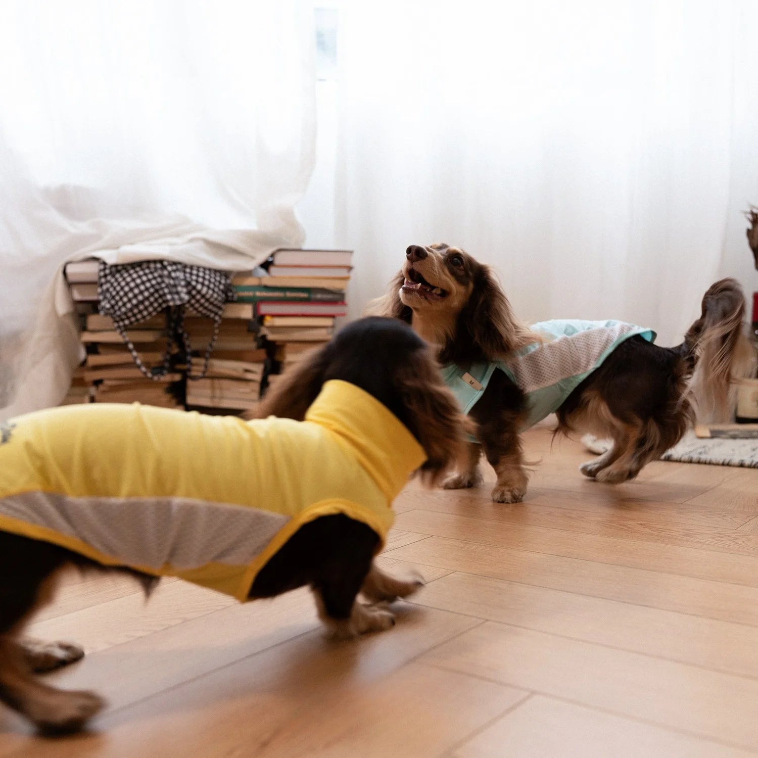 Cooling Ice-Silk Breathable Tank Top for Dachshunds