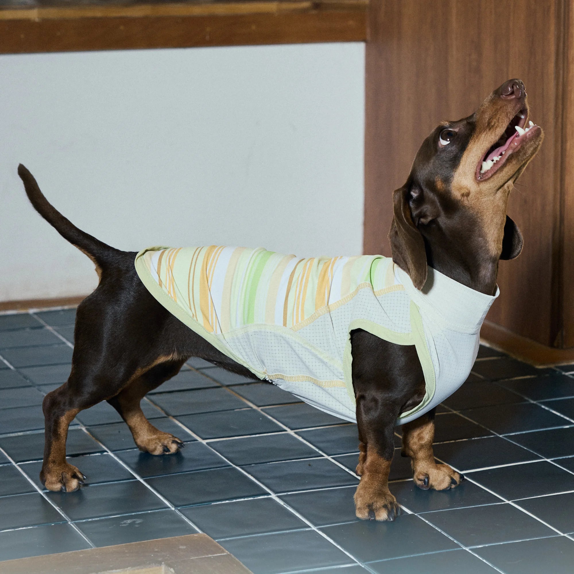 Cooling Striped Thin Tank Top for Dachshunds Summer Sun Protection